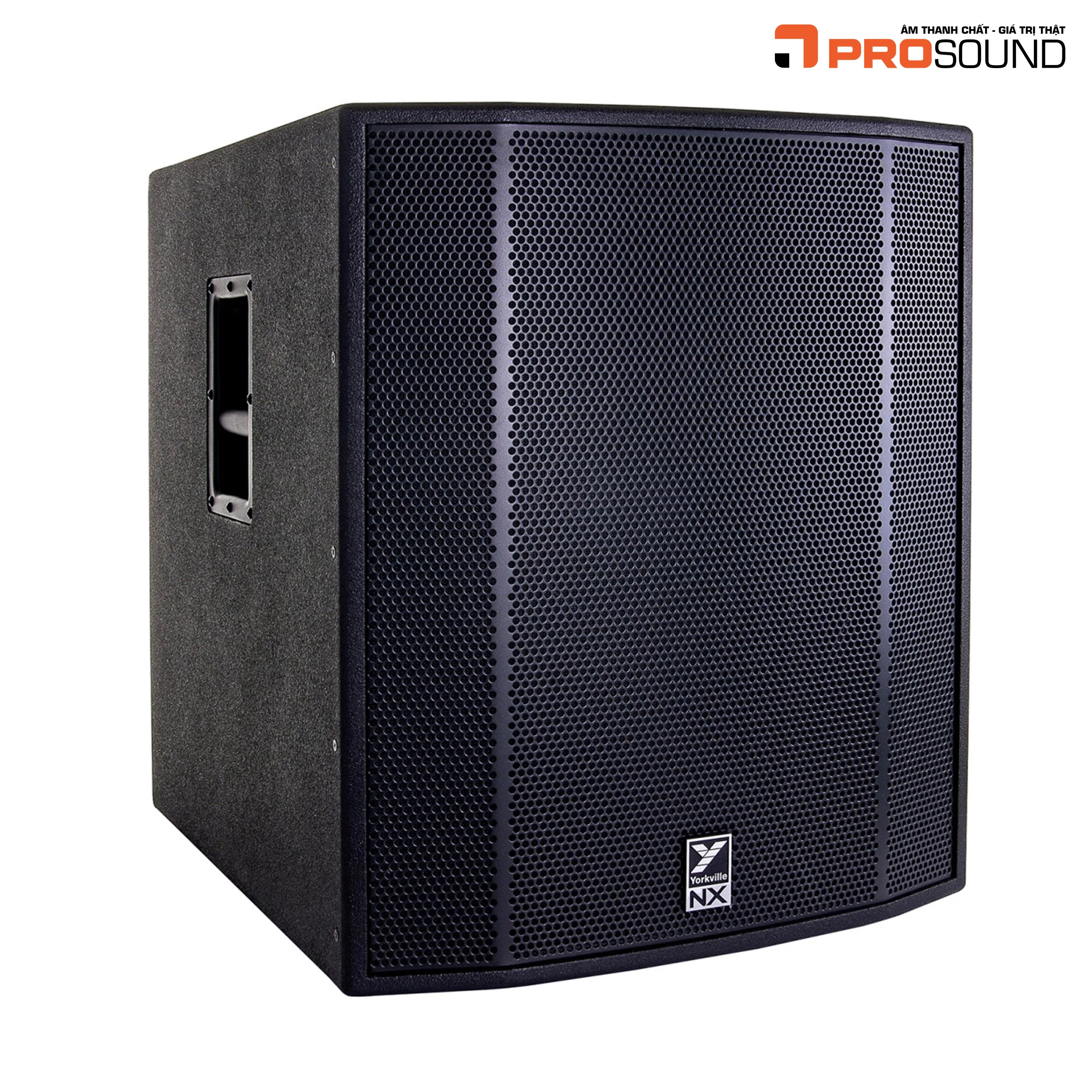 Loa Yorkville NX18SP