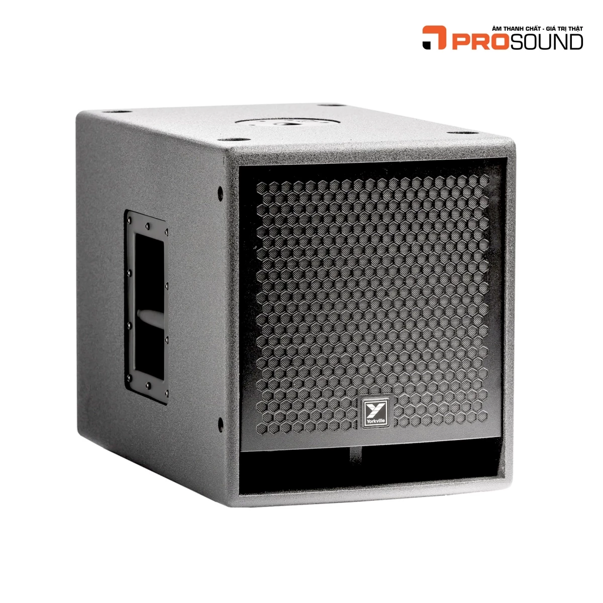 Yorkville Parasource PS12S