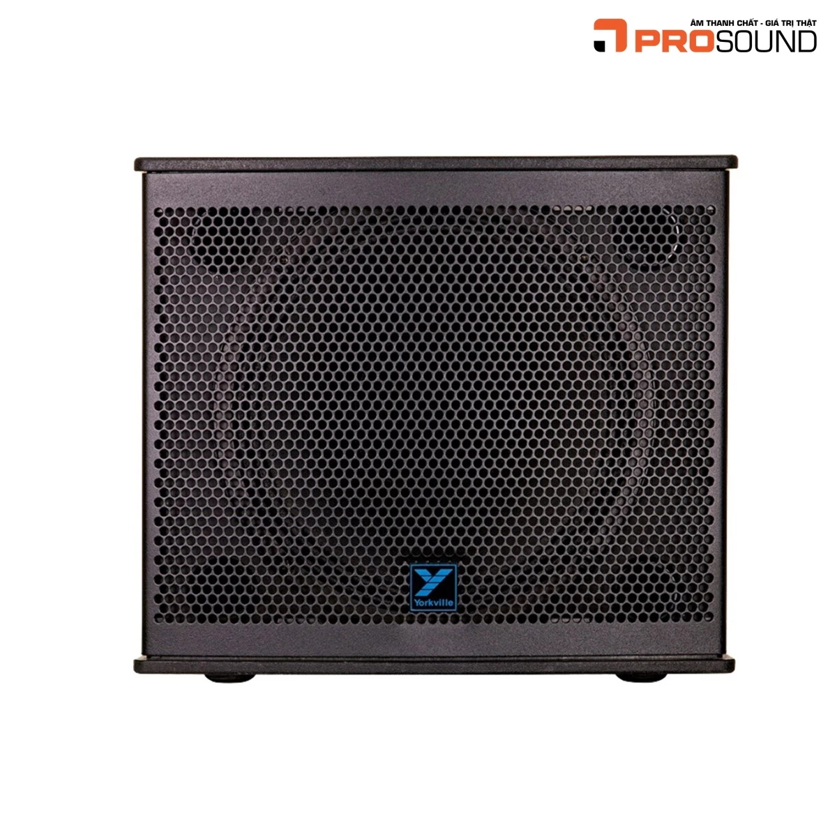 Loa Yorkville NX10C-2