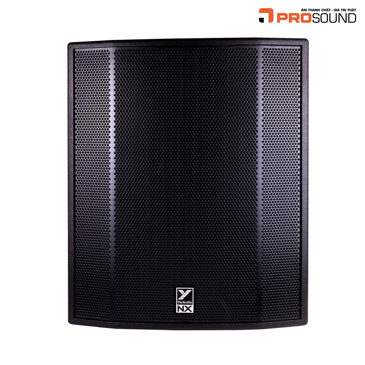 Loa Yorkville NX18SP