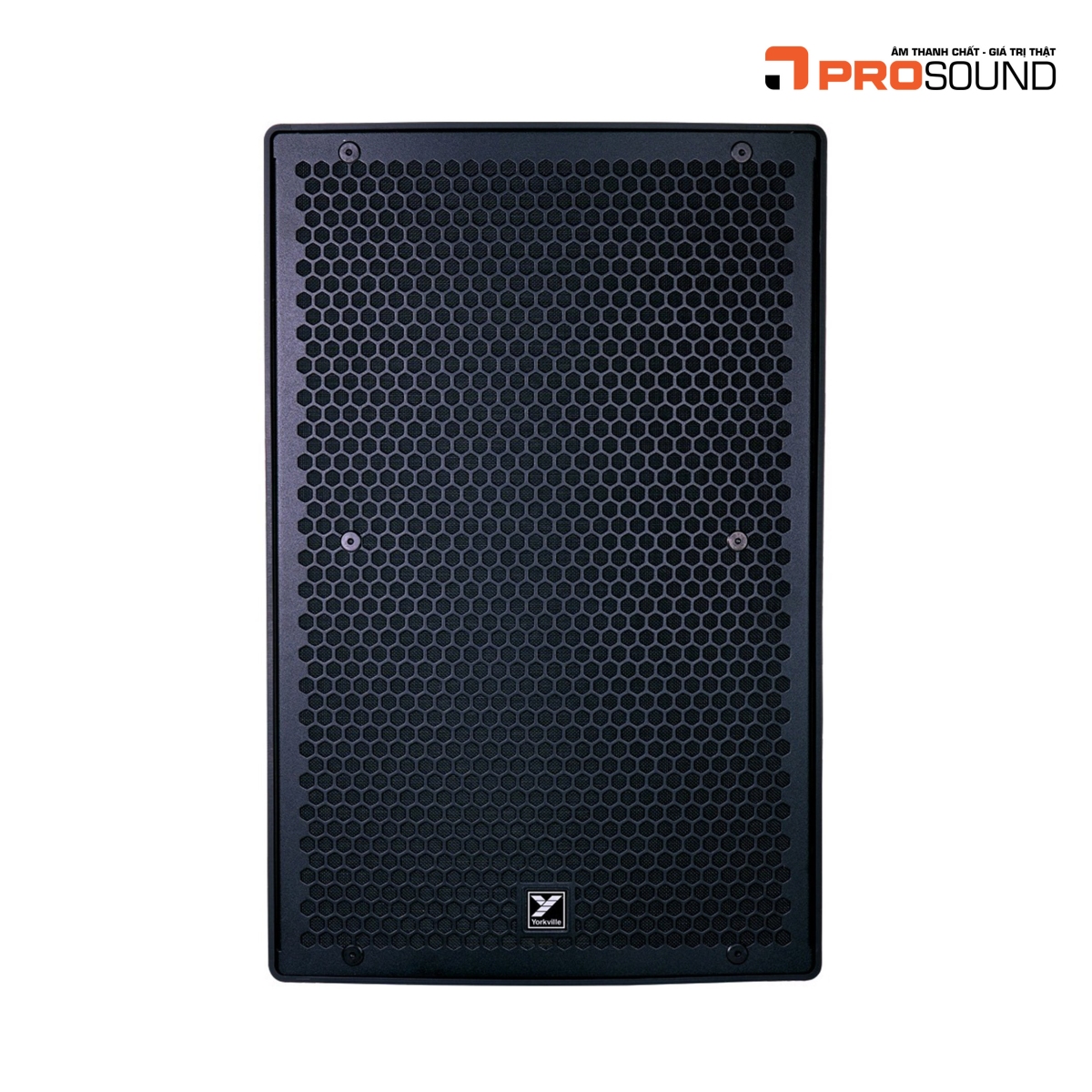 Yorkville Parasource PS12P