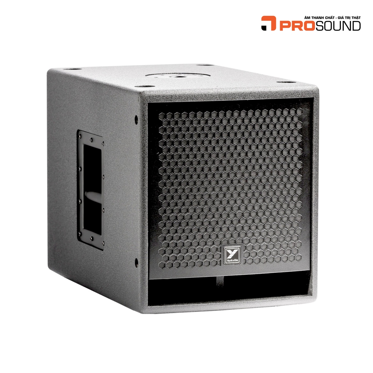 Yorkville Parasource PS12S