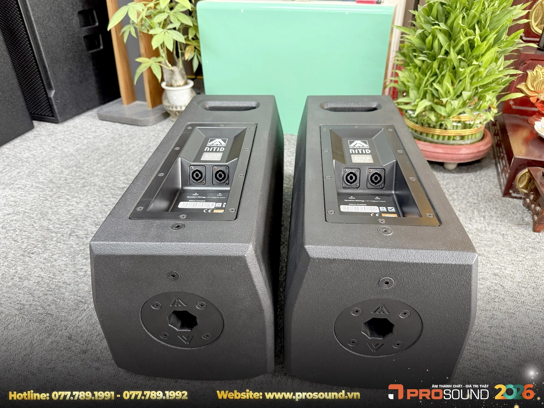 Loa Amate Nitid S26P