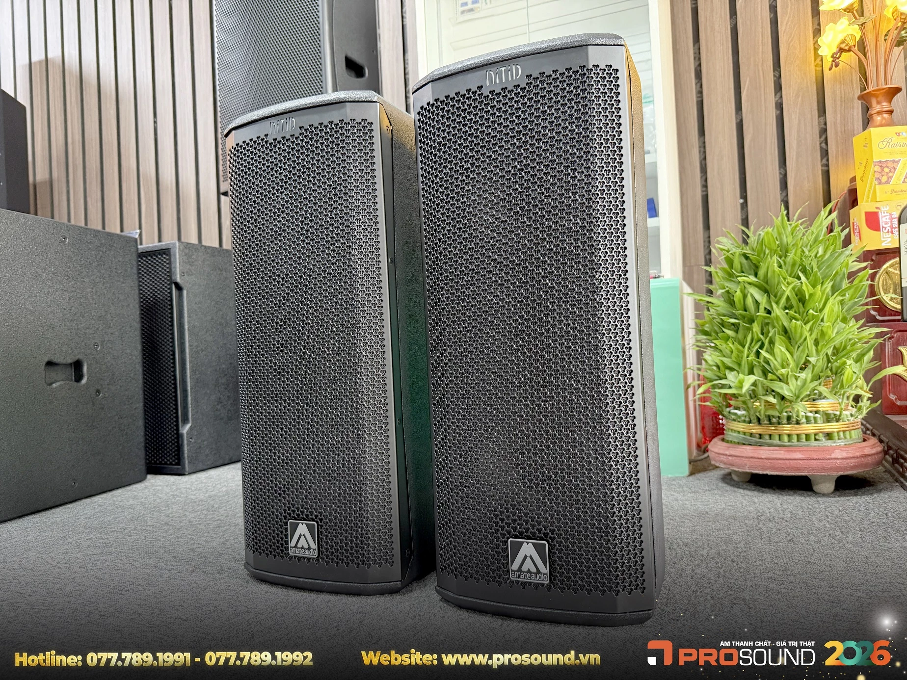 Loa Amate Nitid S26P