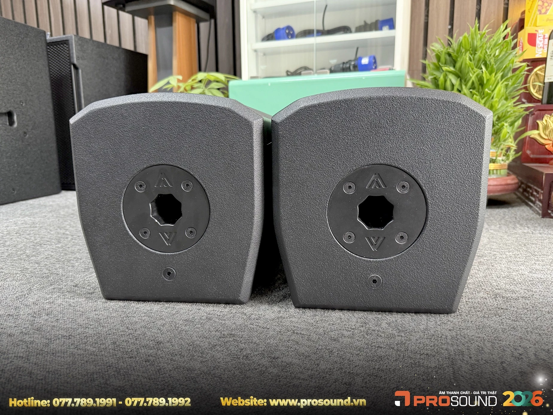 Loa Amate Nitid S26P