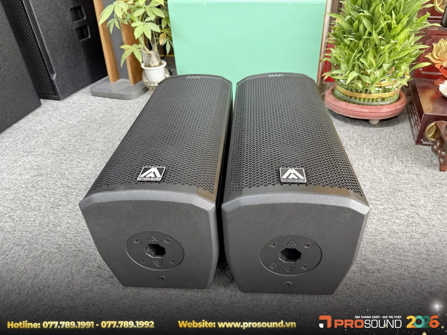 Loa Amate Nitid S26P