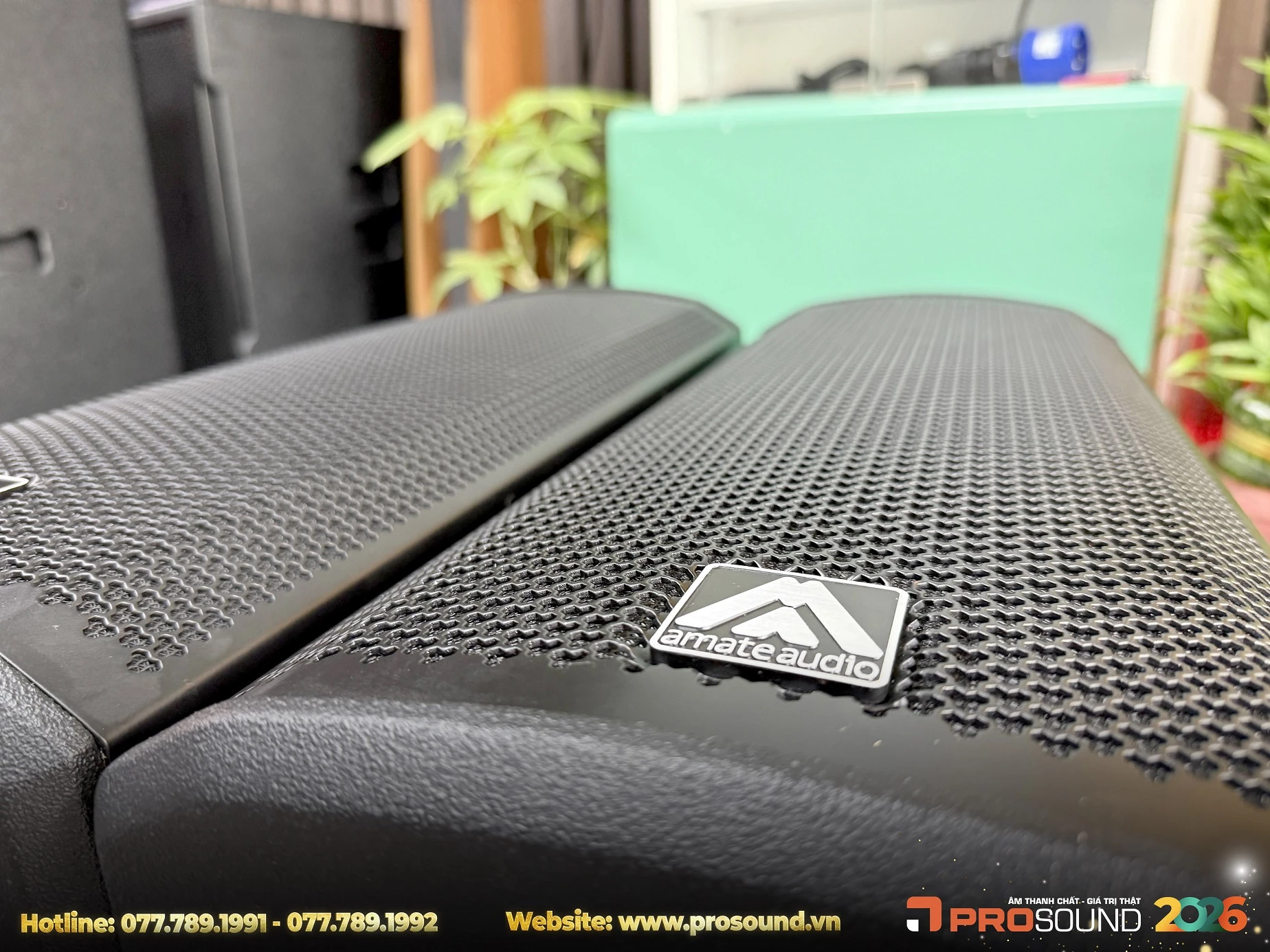 Loa Amate Nitid S26P