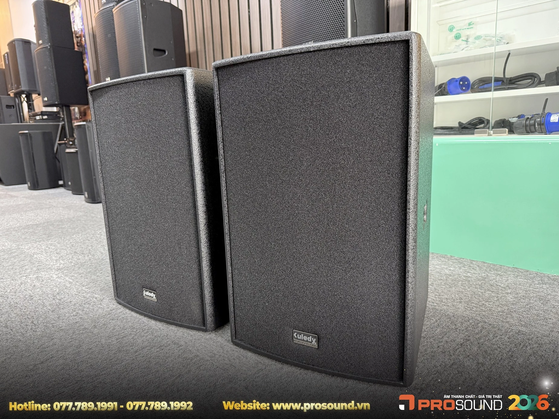 Loa Karaoke Kuledy TD12