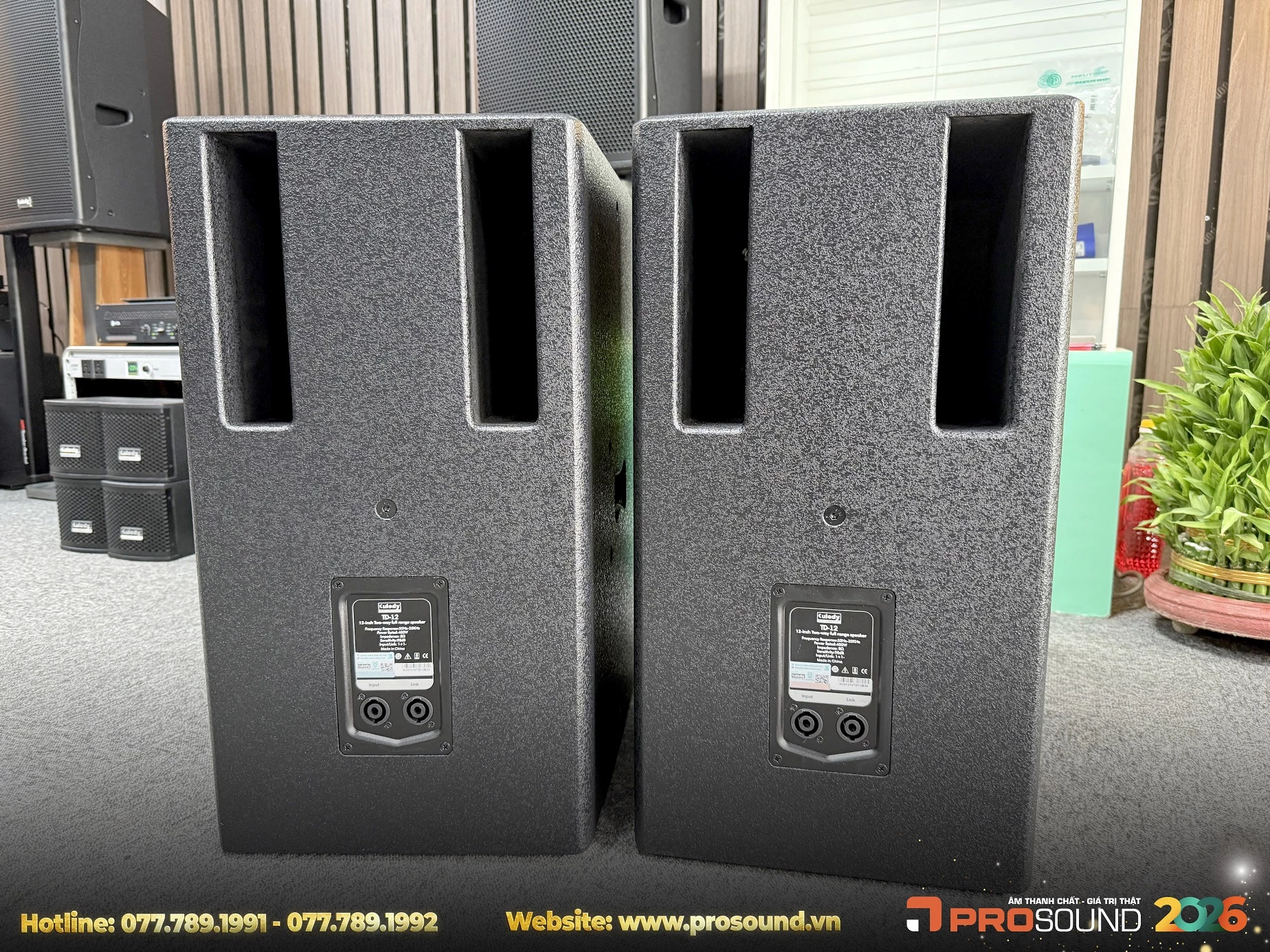 Loa Karaoke Kuledy TD12