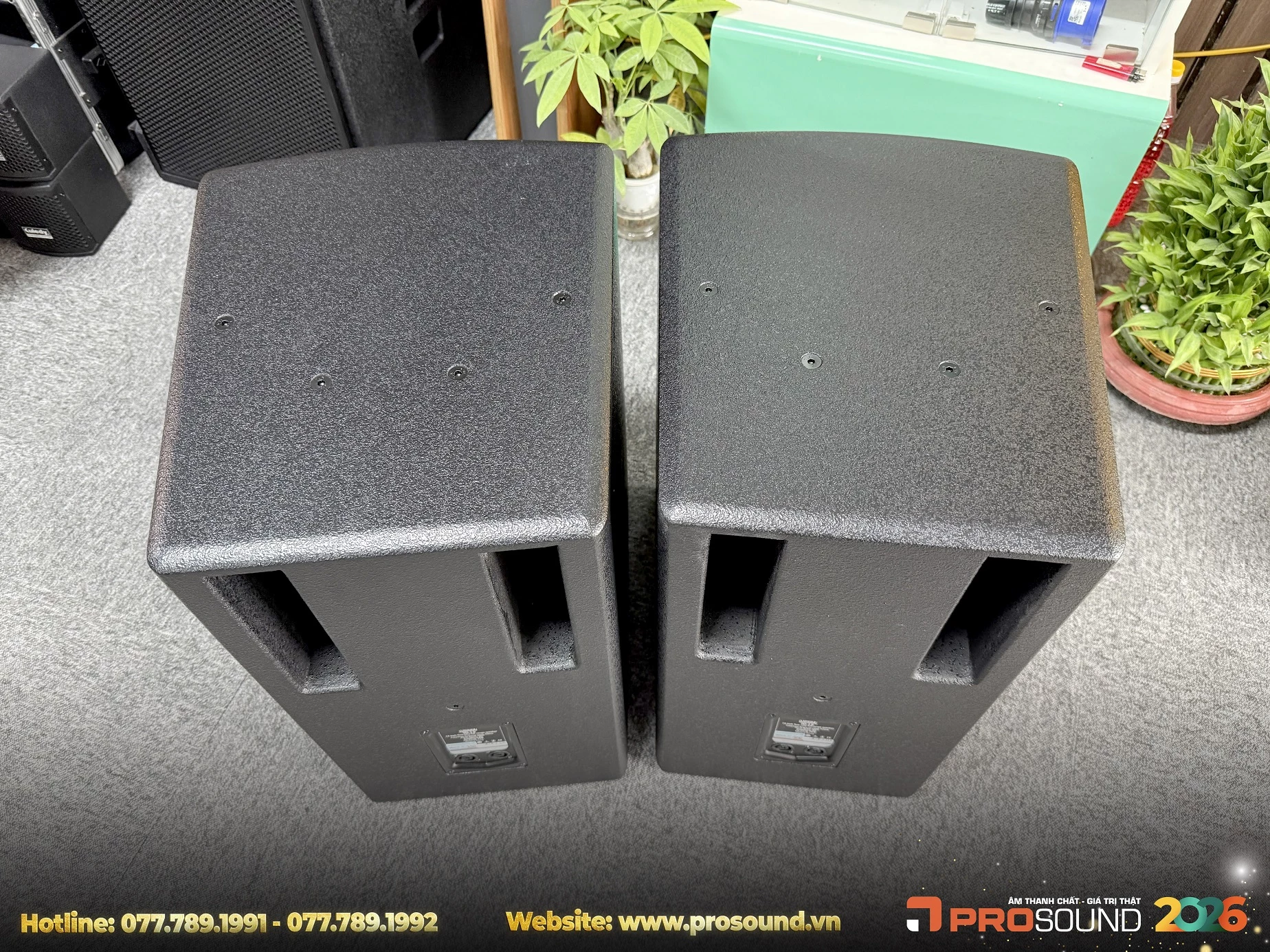 Loa Karaoke Kuledy TD12