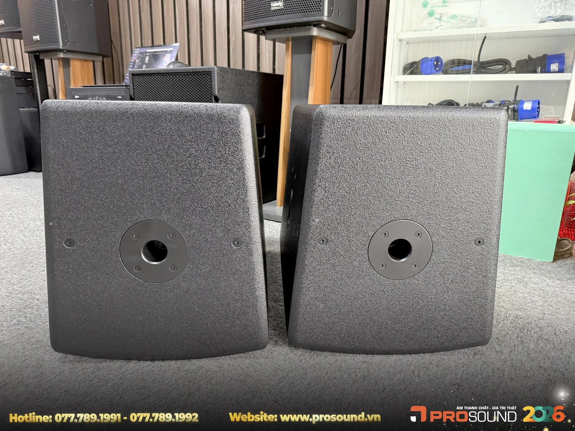 Loa Karaoke Kuledy TD12