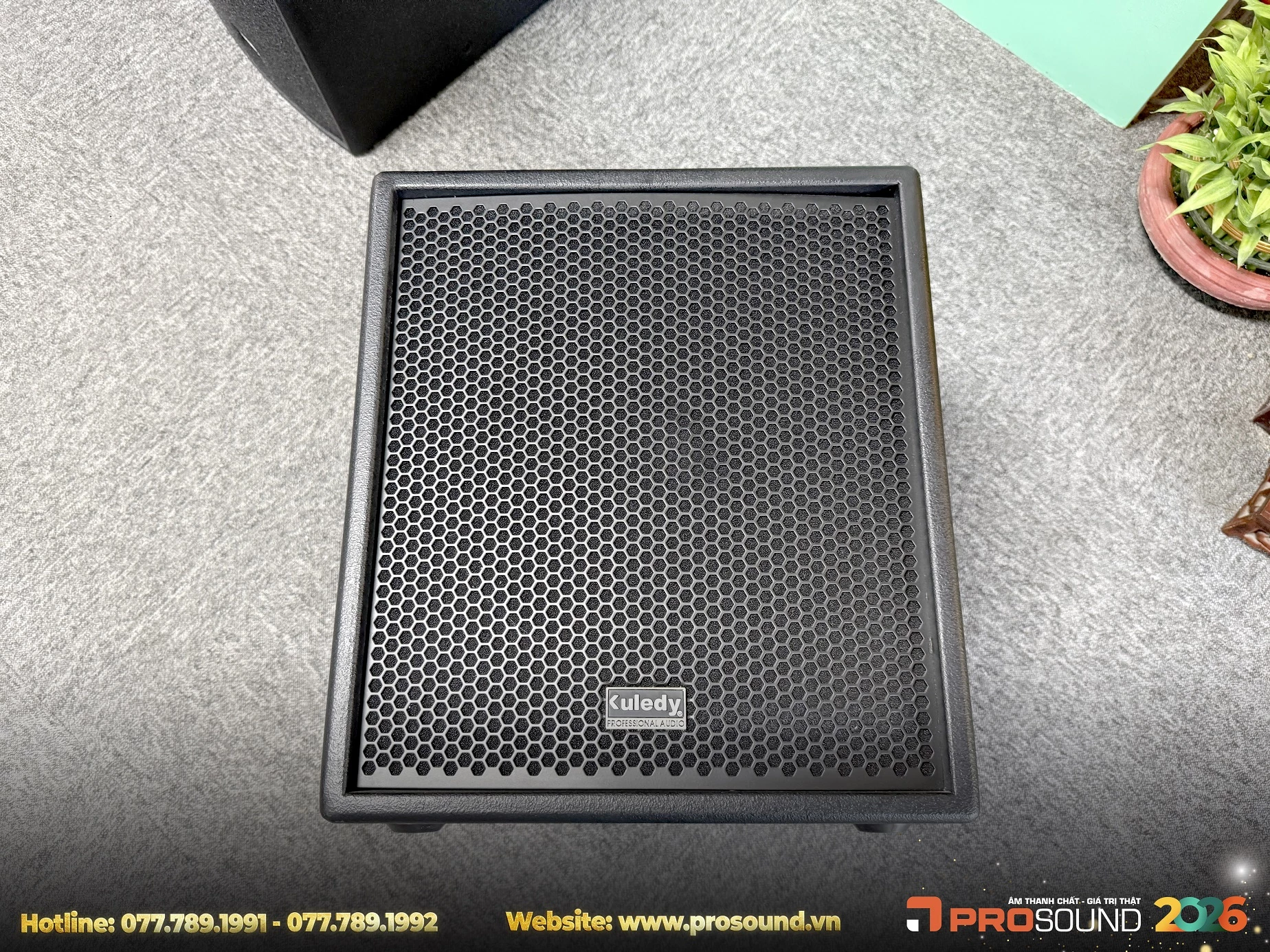 Loa Sub Kuledy CT-12B