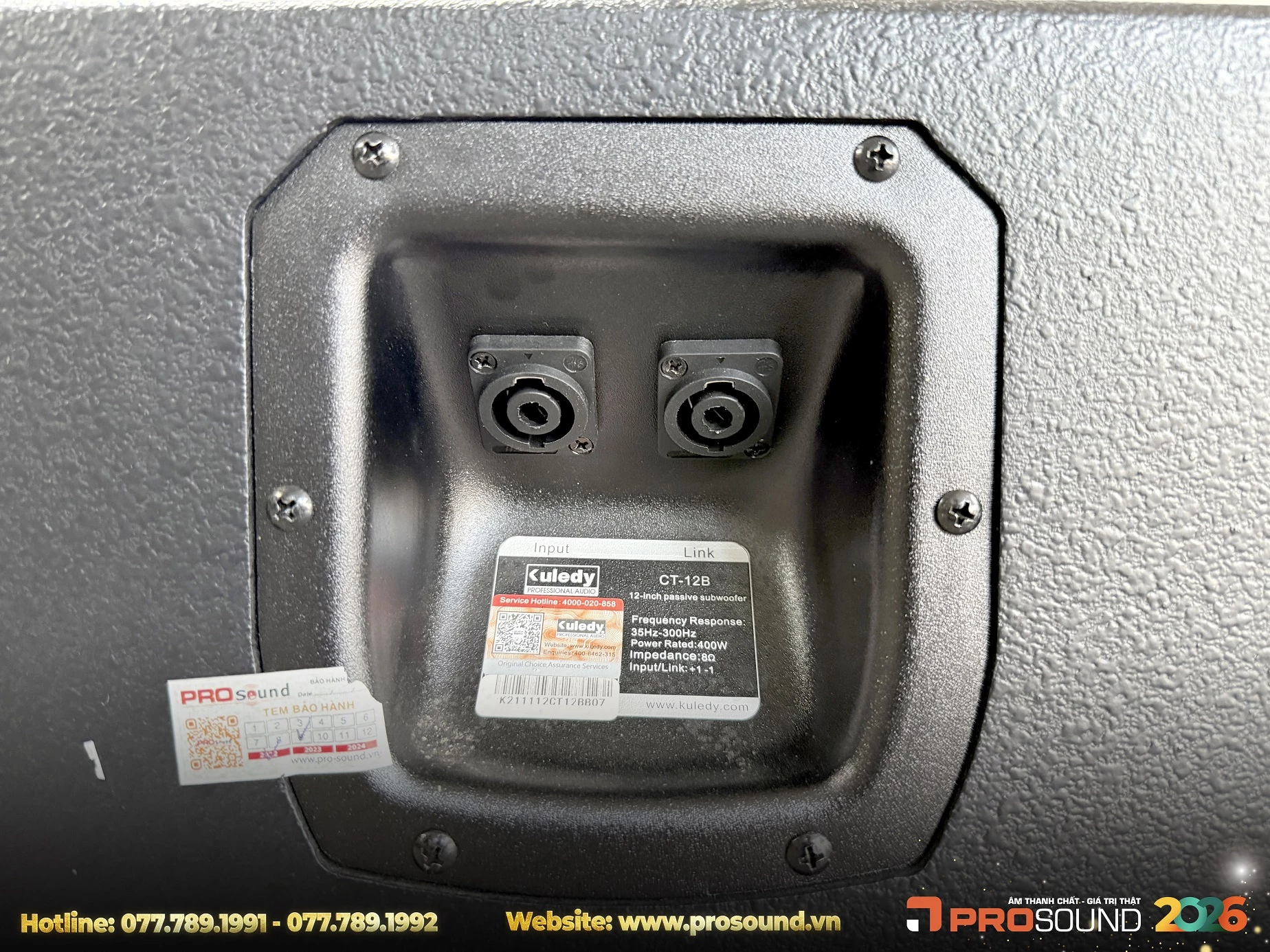 Loa Sub Kuledy CT-12B