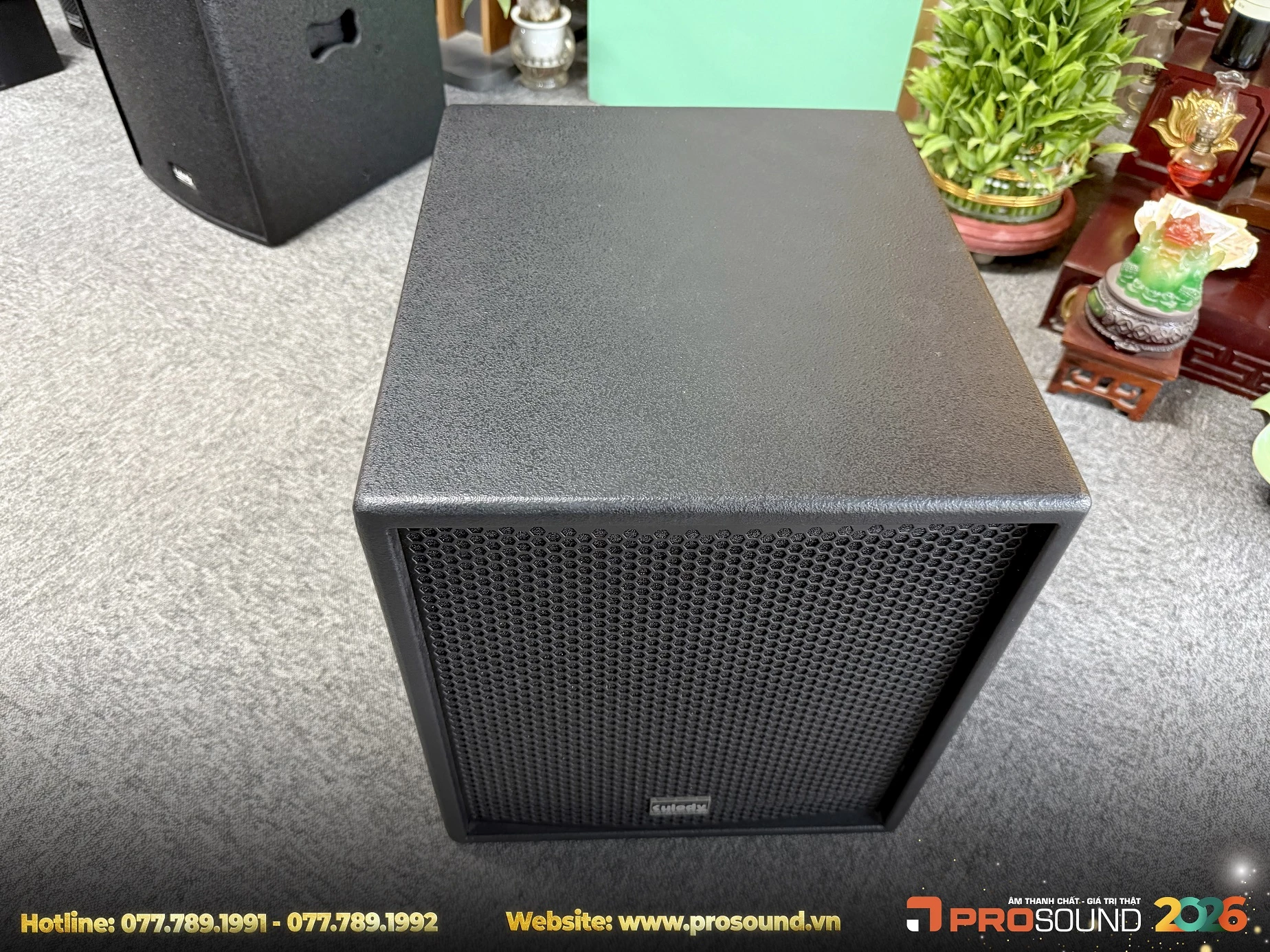 Loa Sub Kuledy CT12B