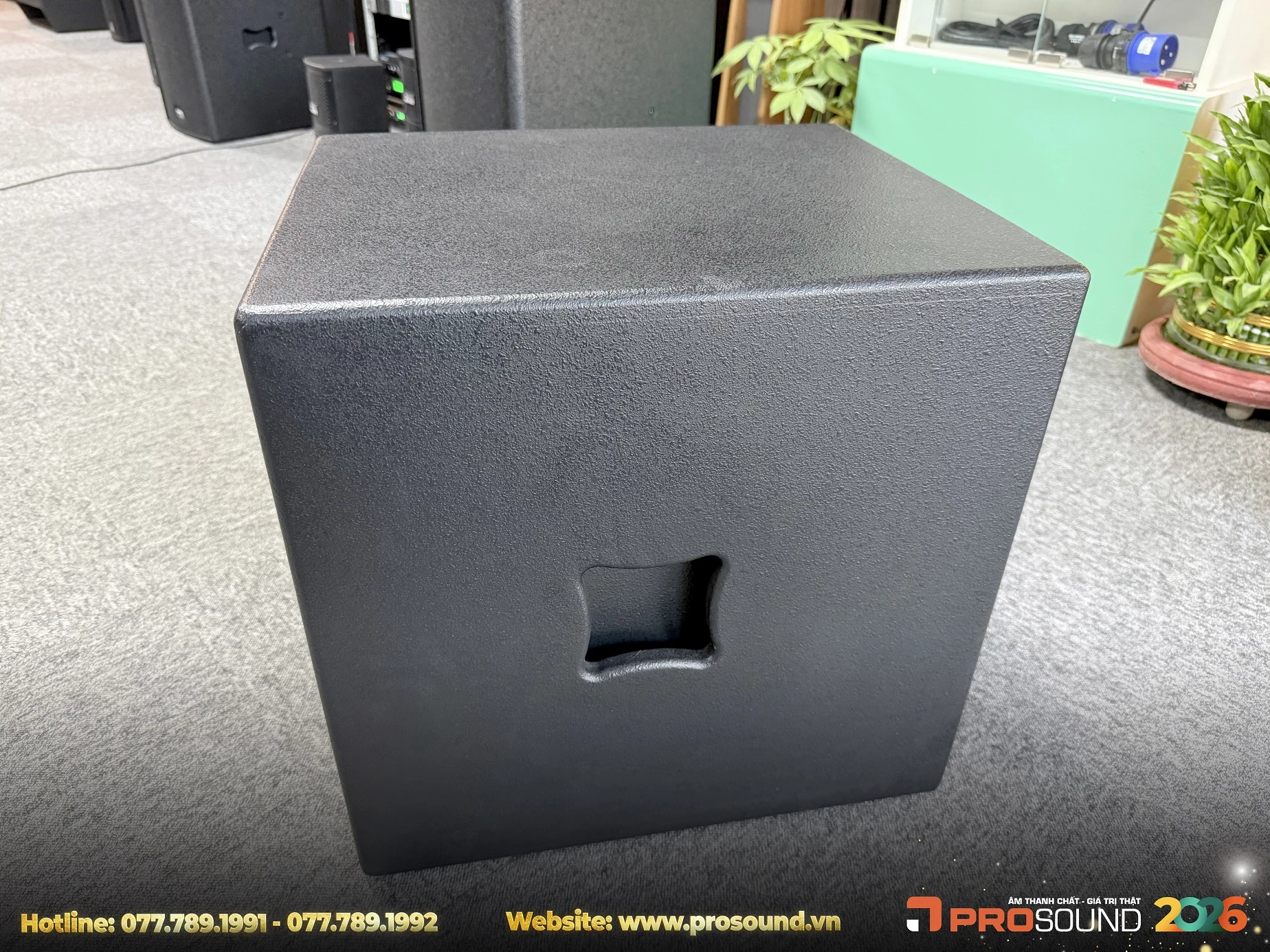 Loa Sub Kuledy CT12B