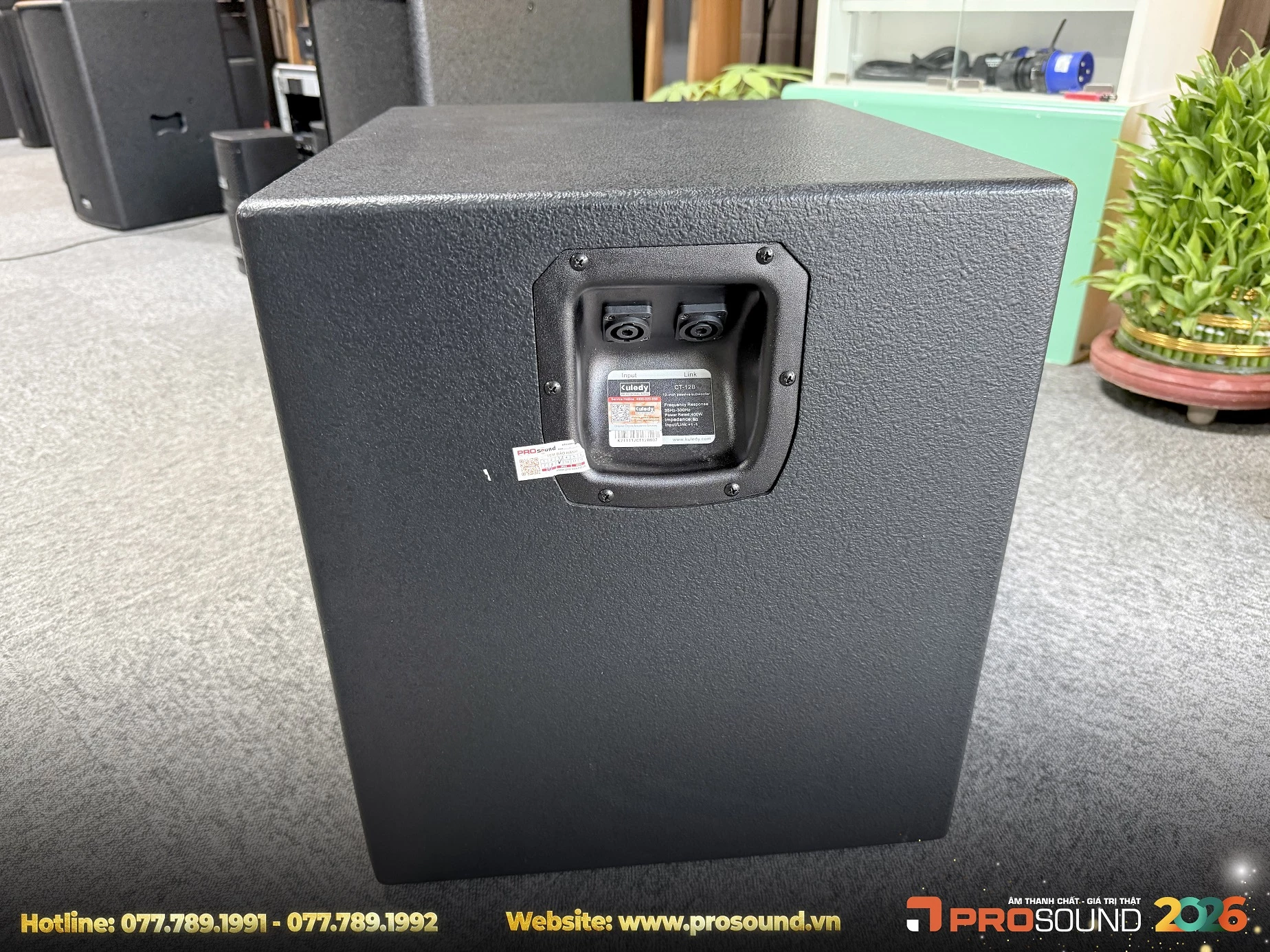 Loa Sub Kuledy CT12B