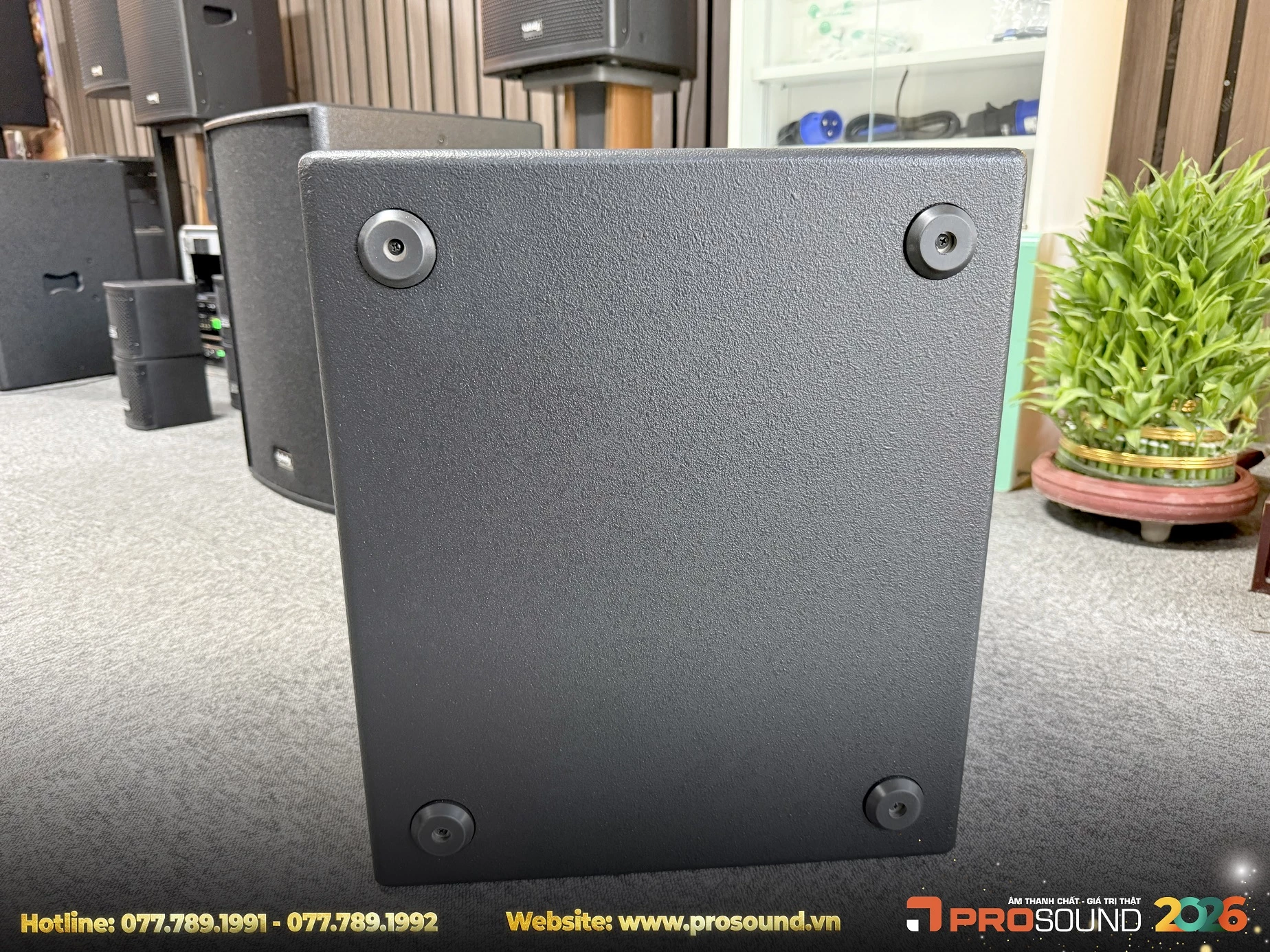 Loa Sub Kuledy CT12B