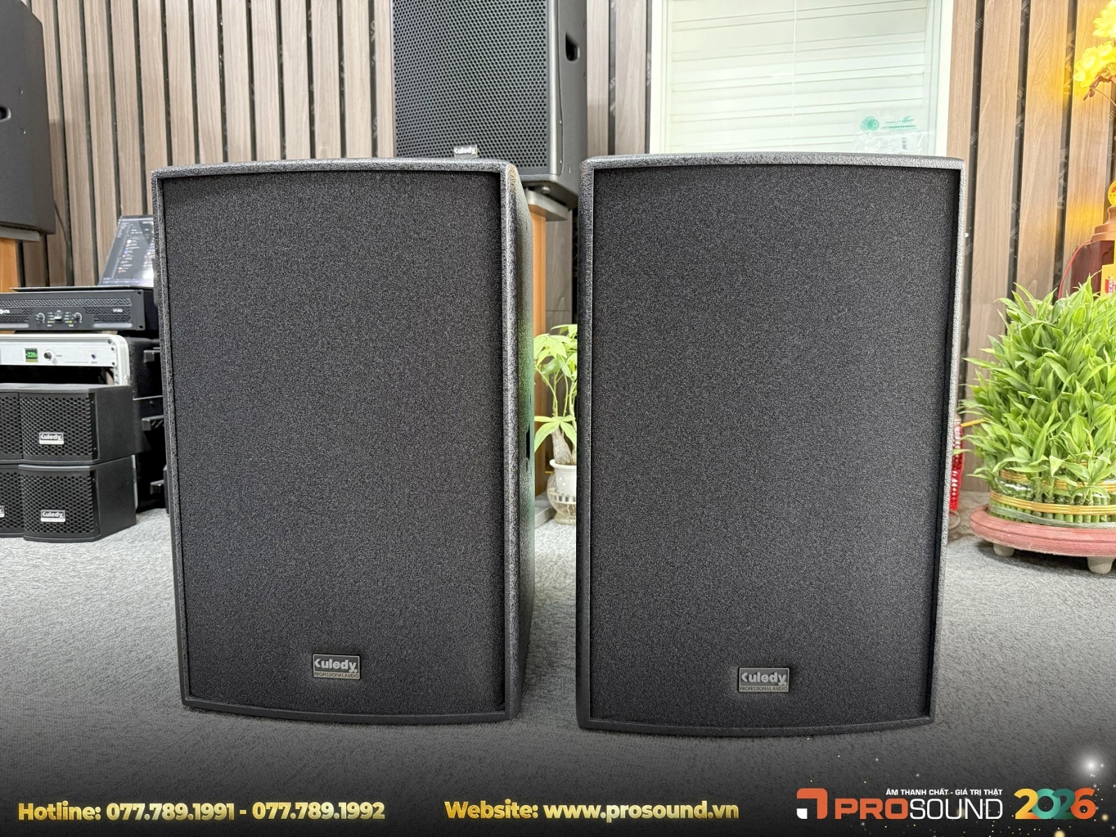 Loa Karaoke Kuledy TD12