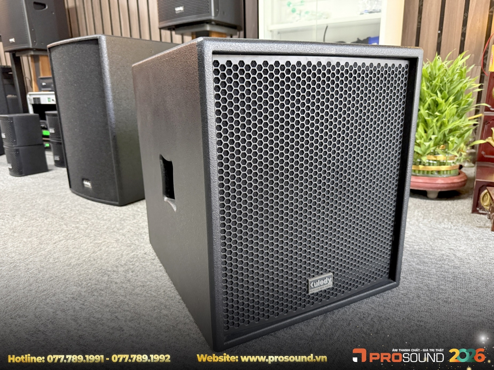 Loa Sub Kuledy CT-12B