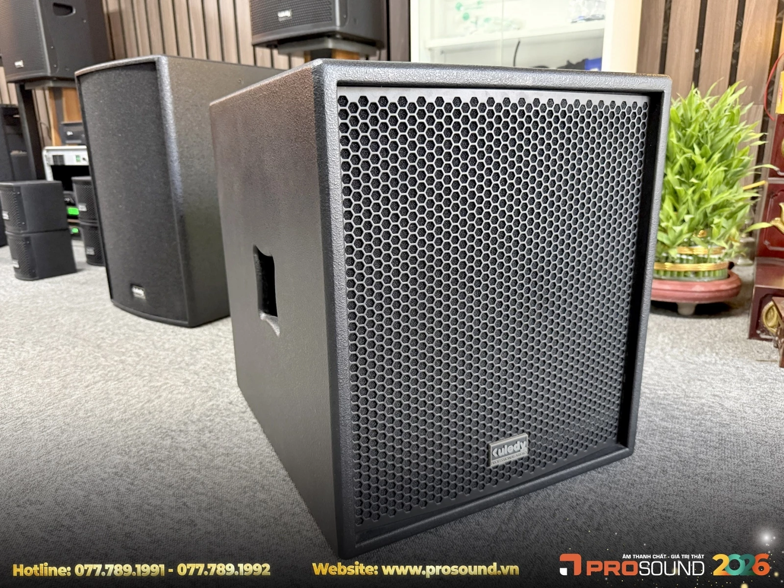 Loa Sub Kuledy CT-12B