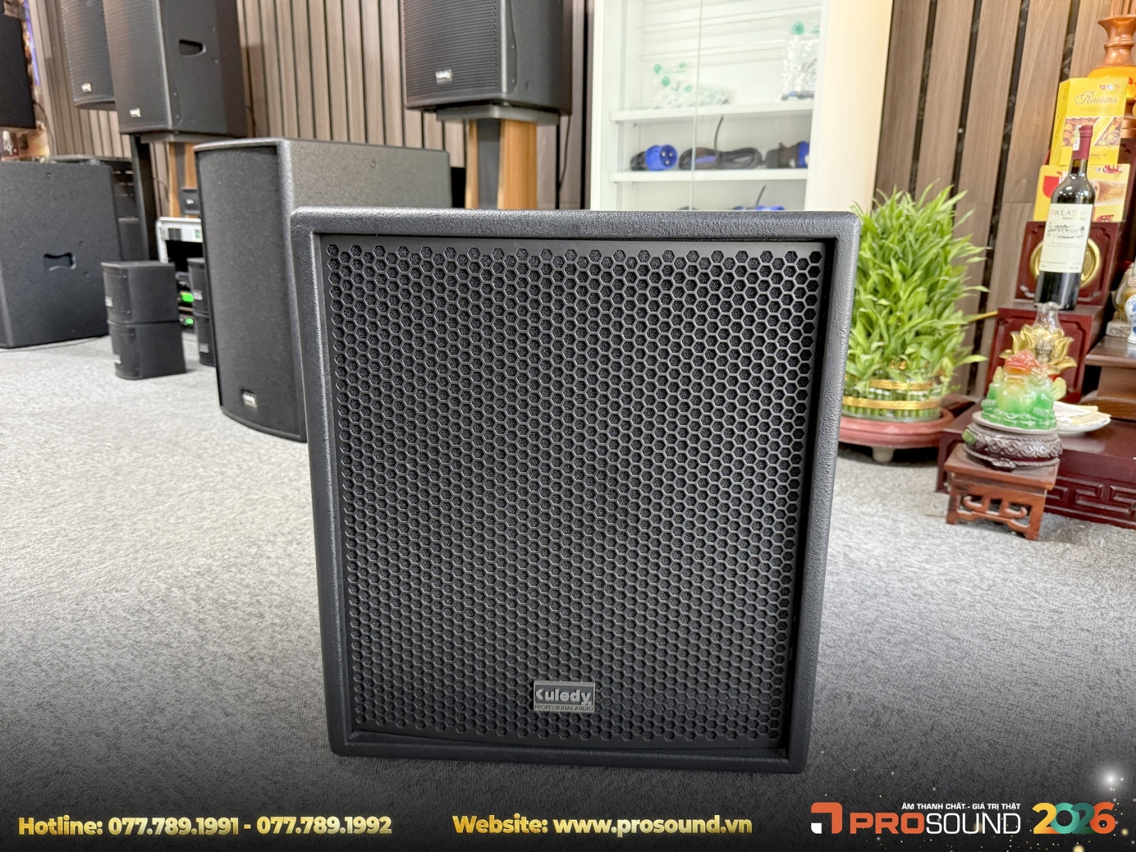 Loa Sub Kuledy CT12B