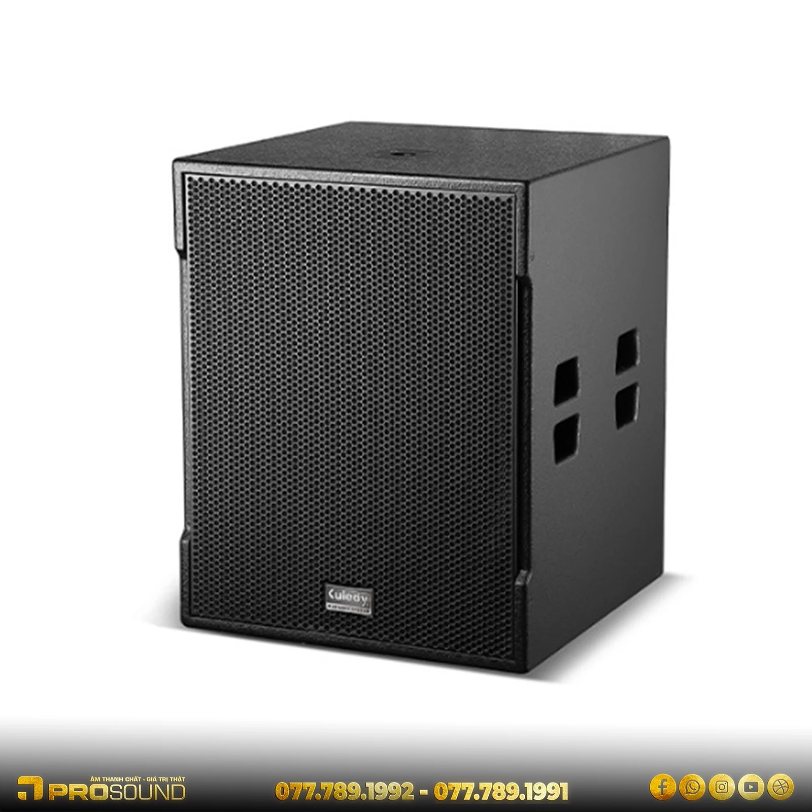 Loa subwoofer Kuledy B118T