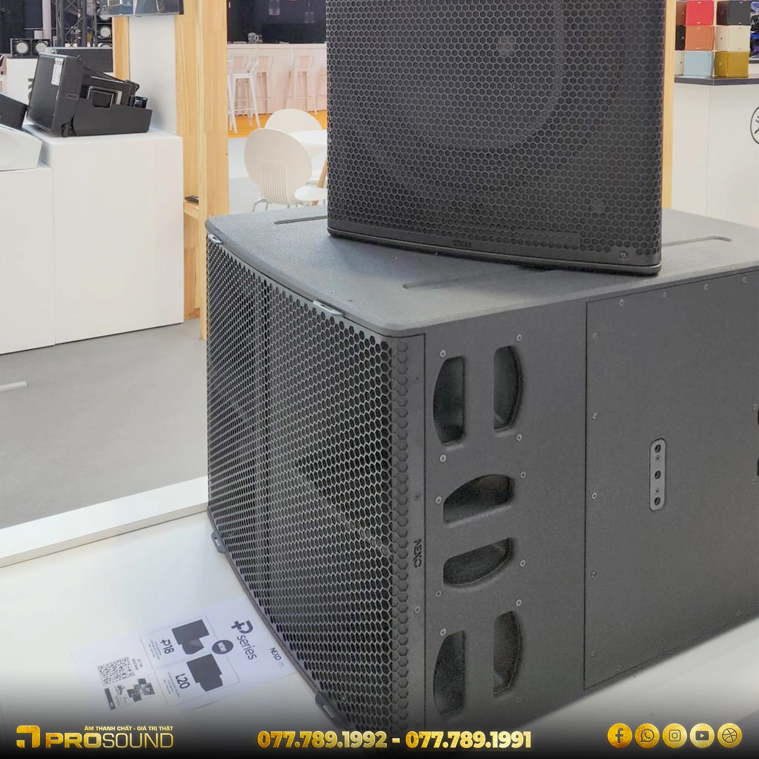 Loa Subwoofer Nexo L20