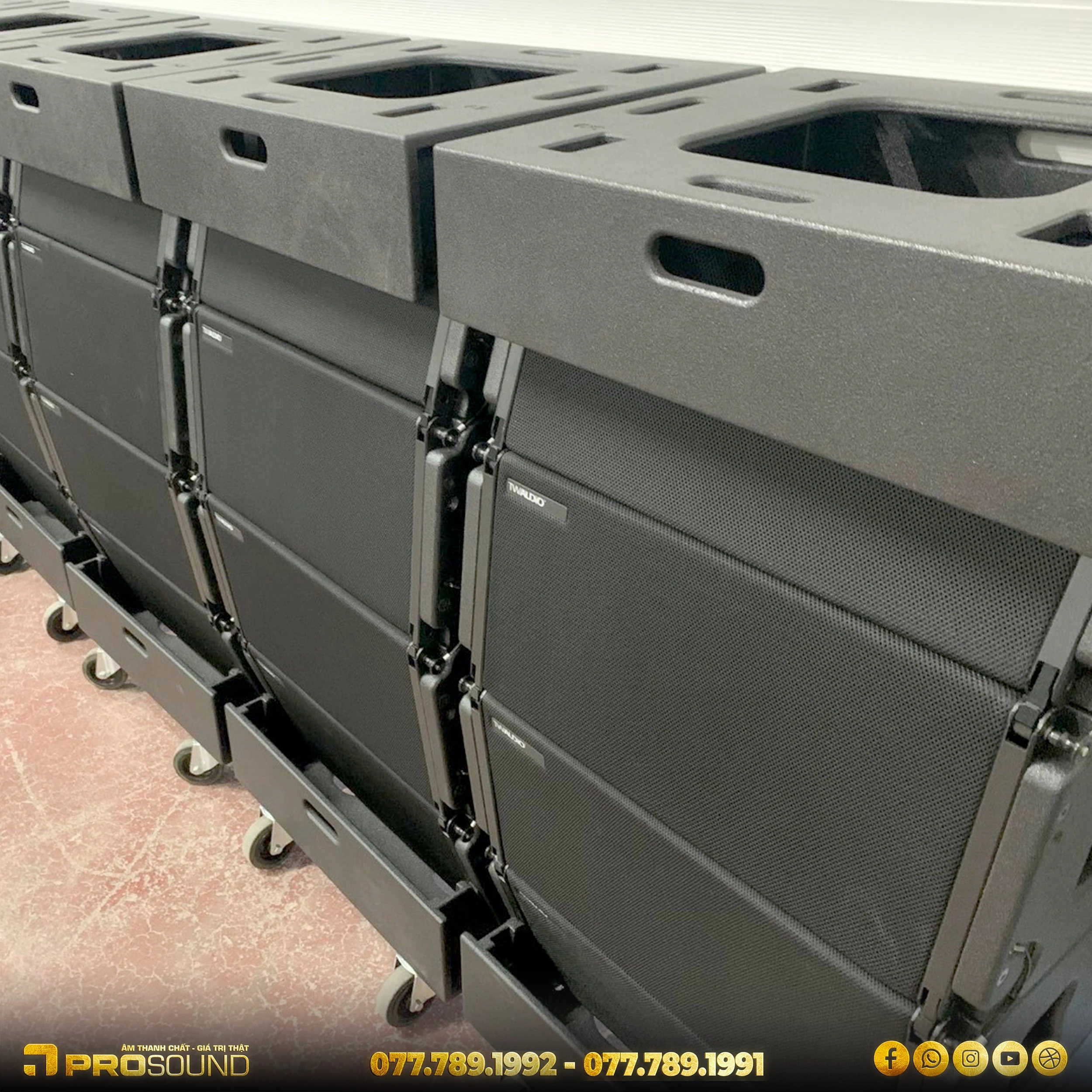 Loa Line Array TW AUDiO VERA 20i