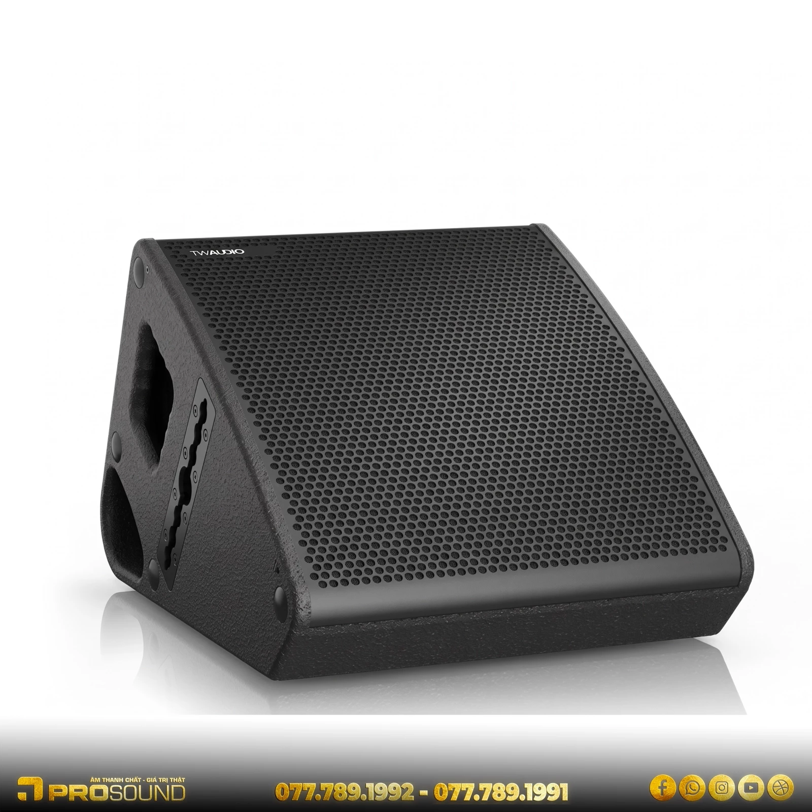 Loa monitor TW AUDiO C12