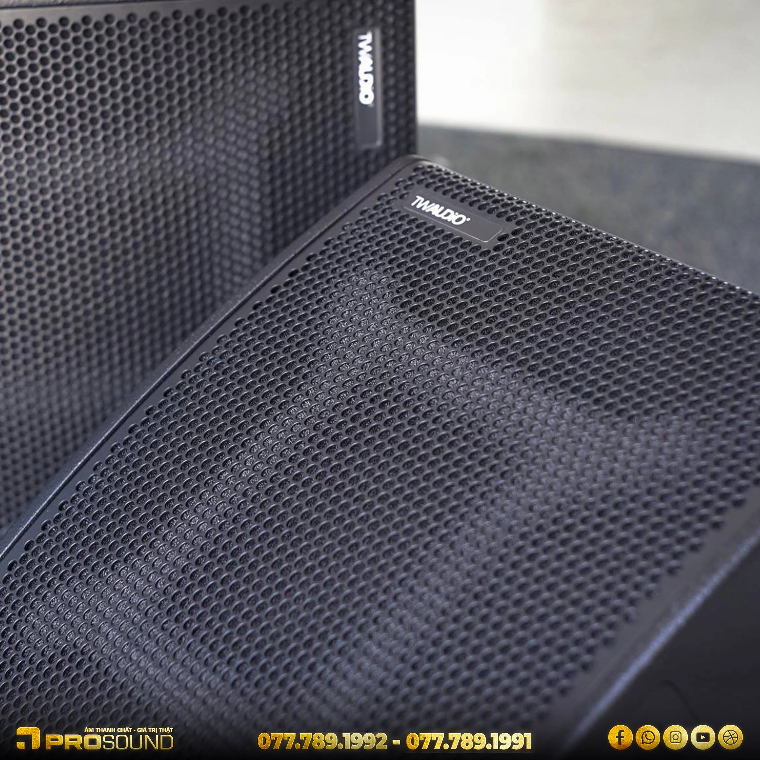 Loa monitor TW AUDiO C12