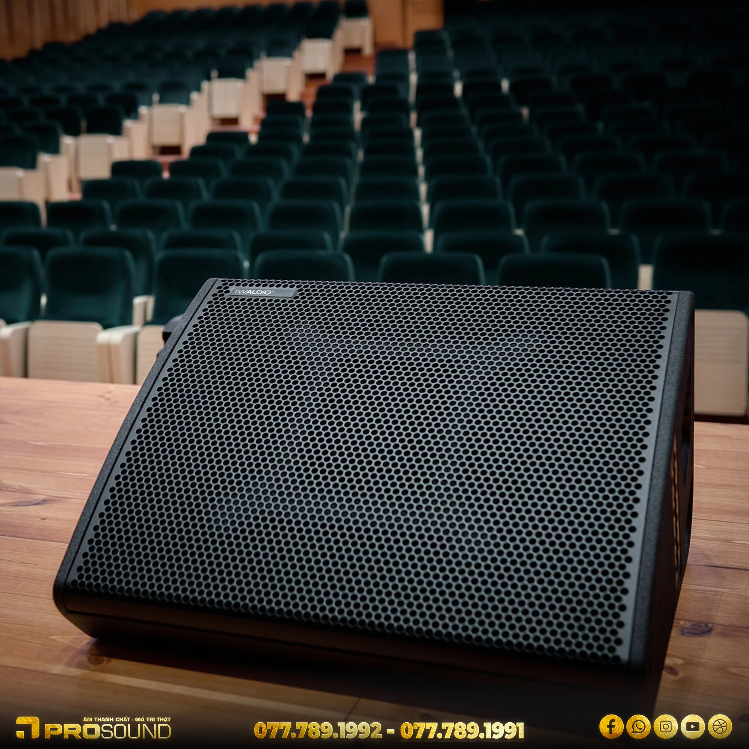 Loa monitor TW AUDiO C12