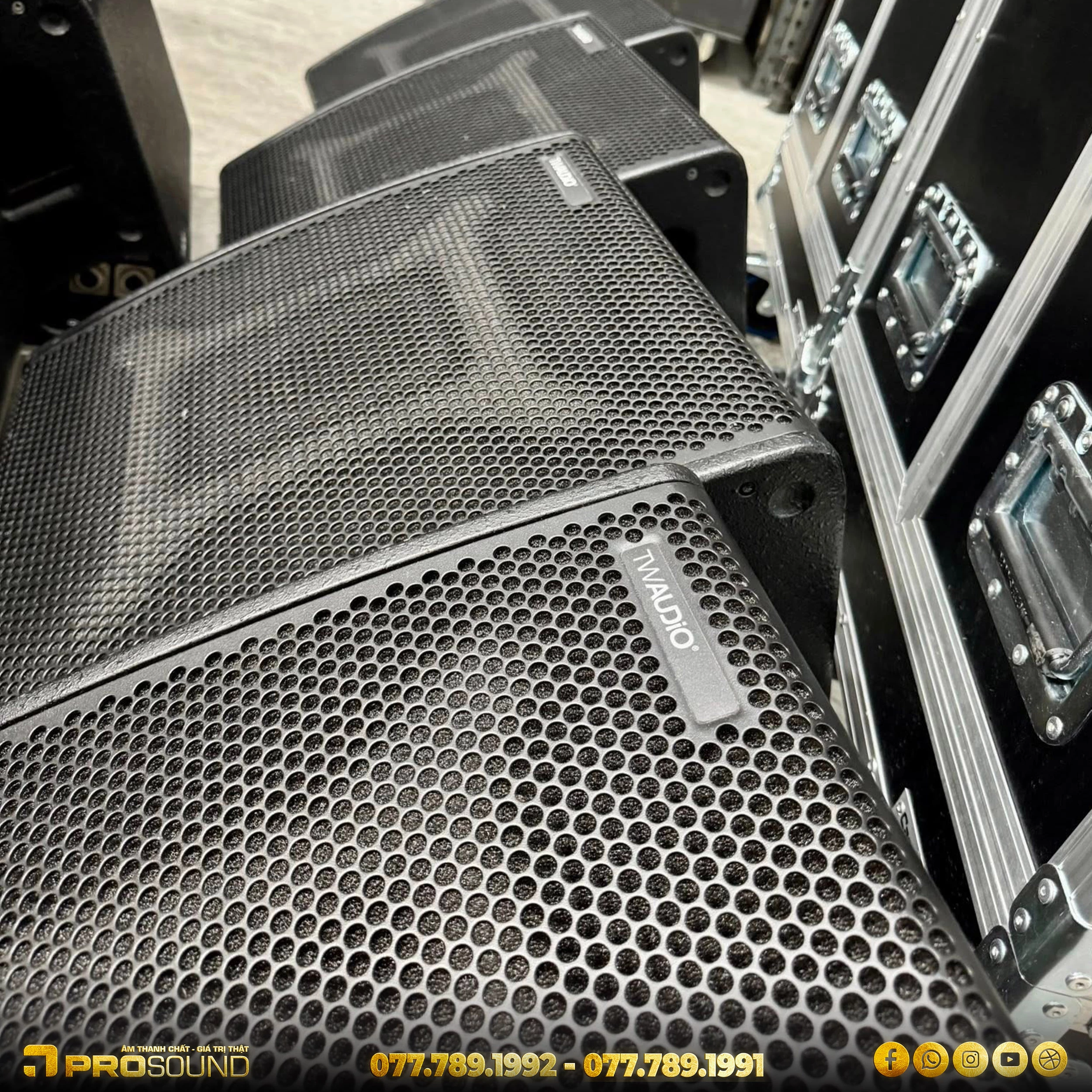 Loa monitor TW AUDiO C12
