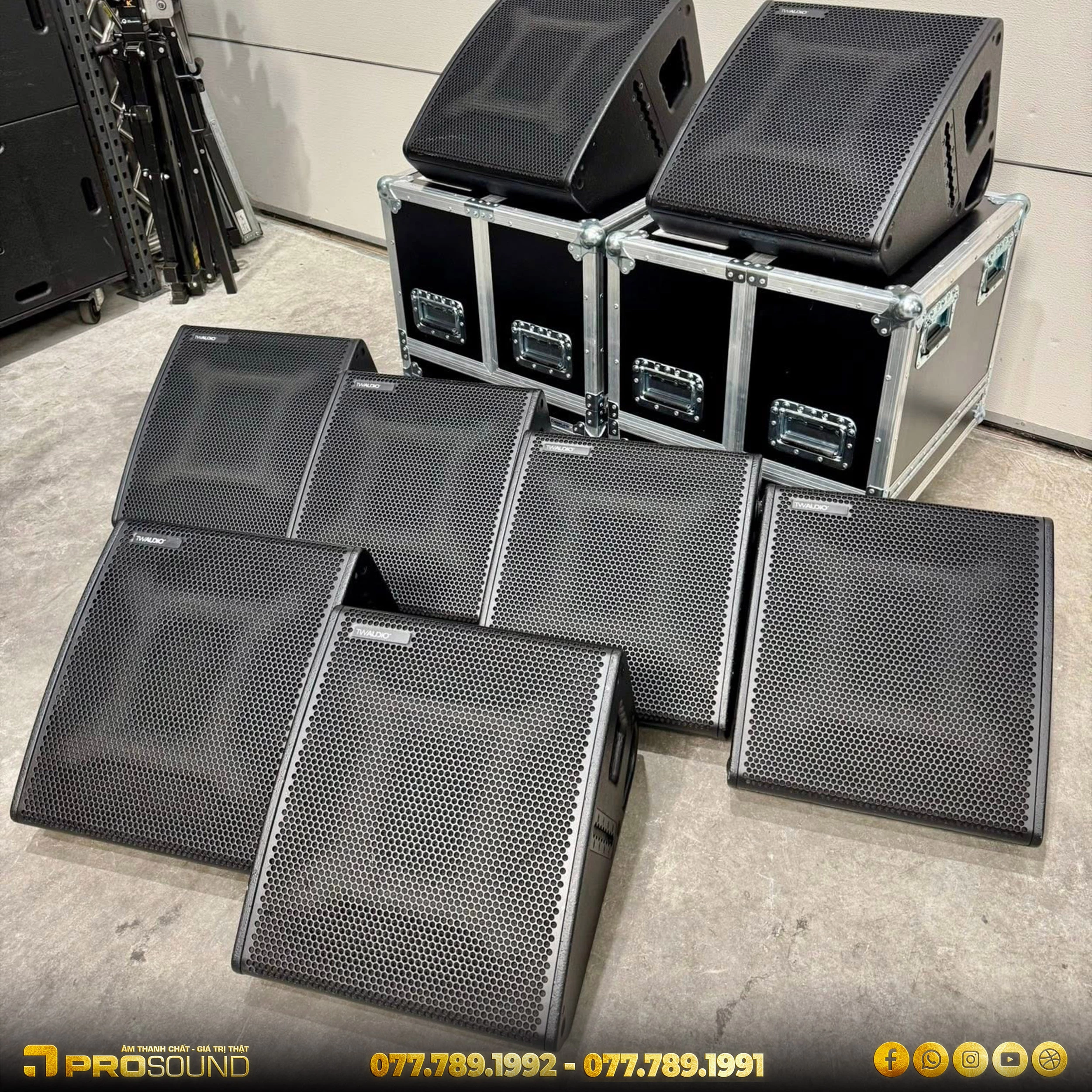 Loa monitor TW AUDiO C12