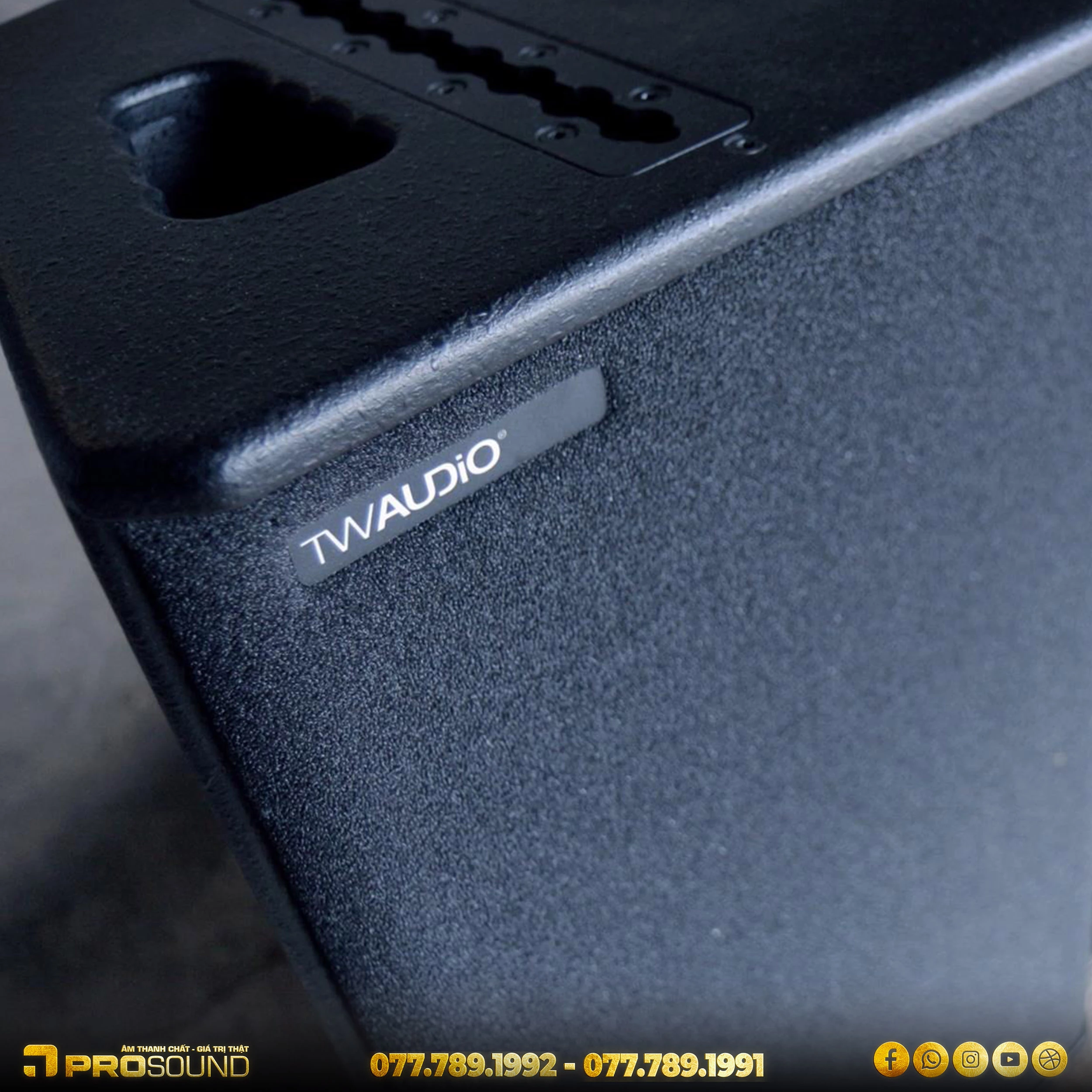 Loa TW AUDiO M12i