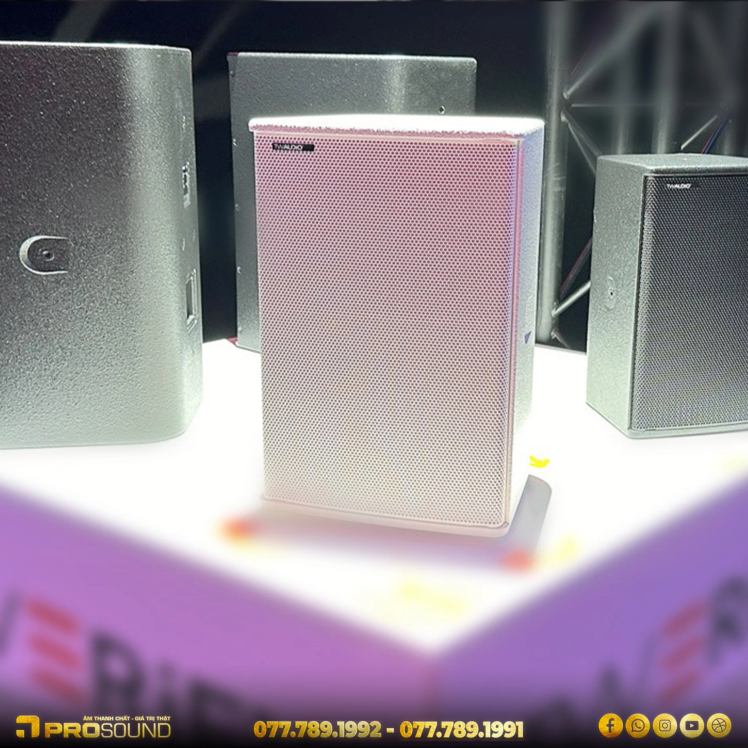 Loa TW AUDiO M12i