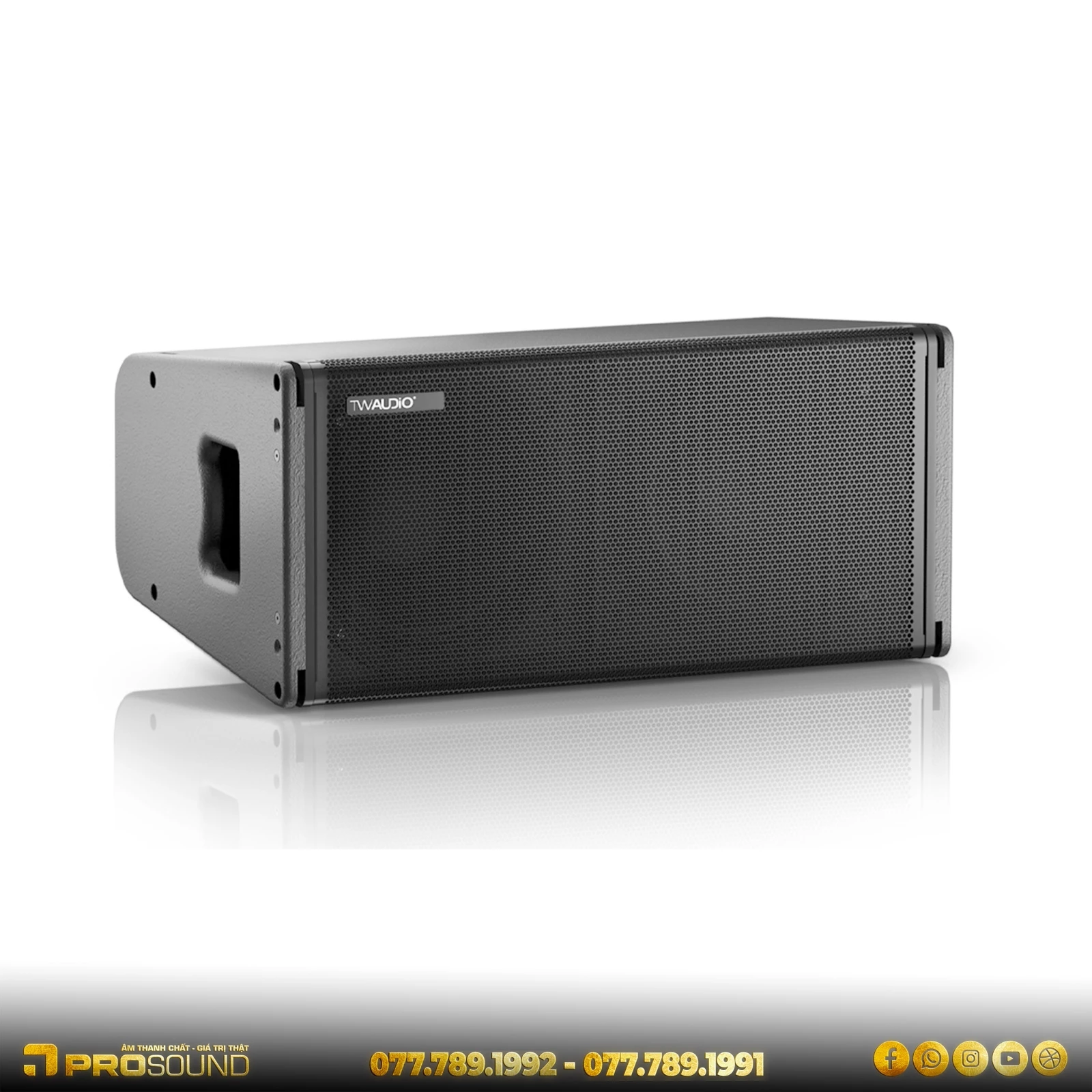 Loa Line Array TW AUDiO VERA 20i
