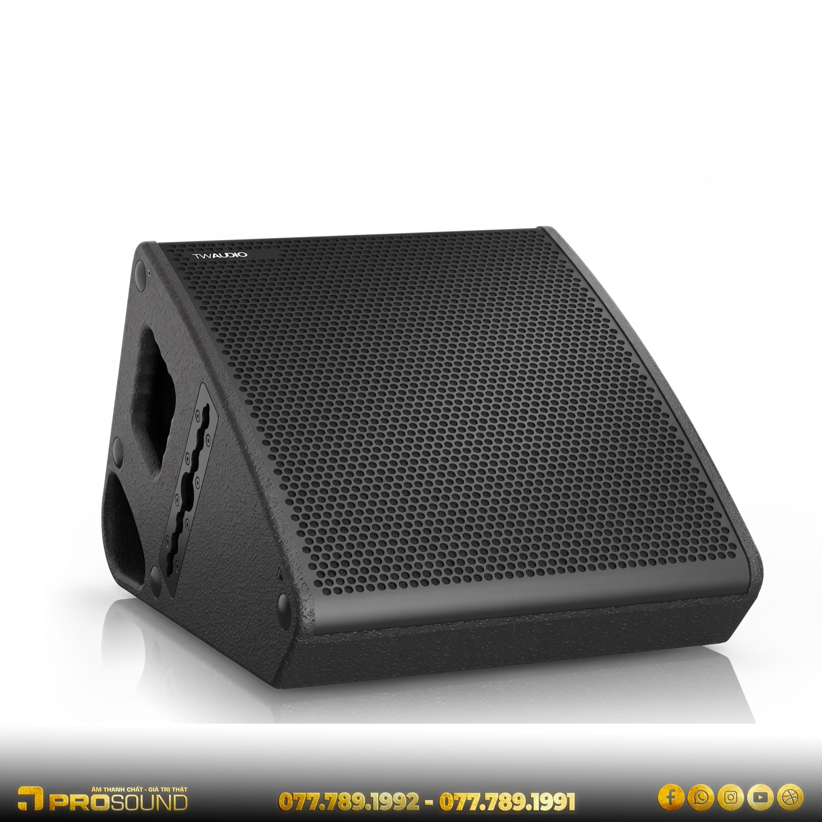 Loa monitor TW AUDiO C12