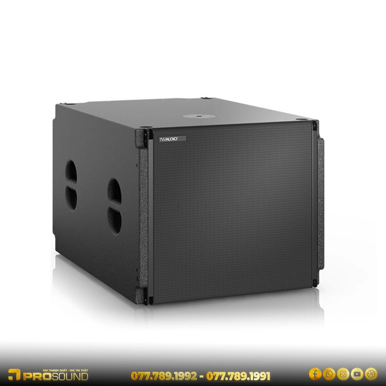 Loa Subwoofer TW AUDiO VERA S32