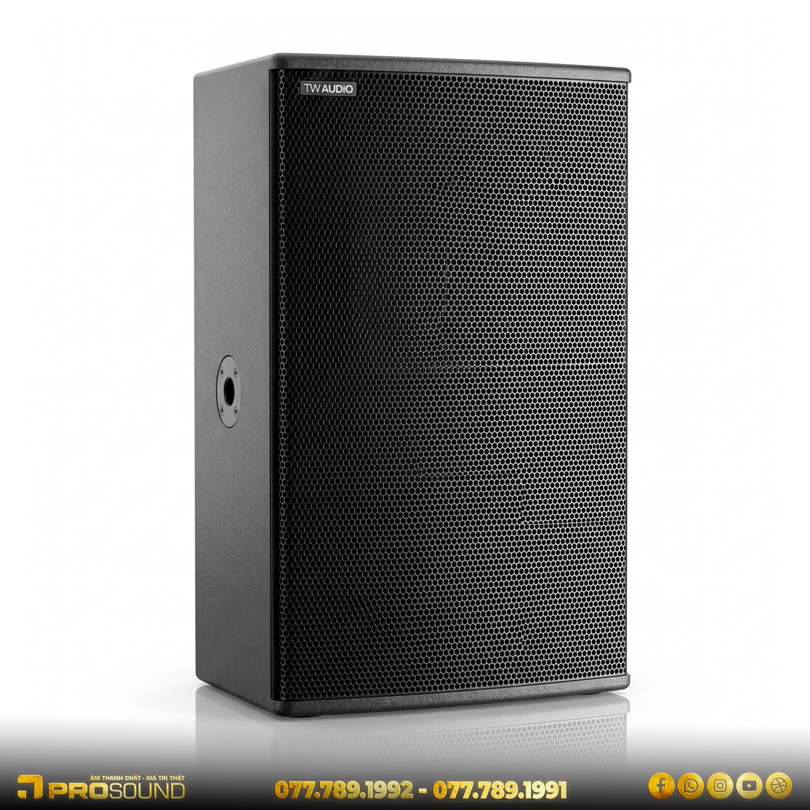 Loa TW AUDiO M12i