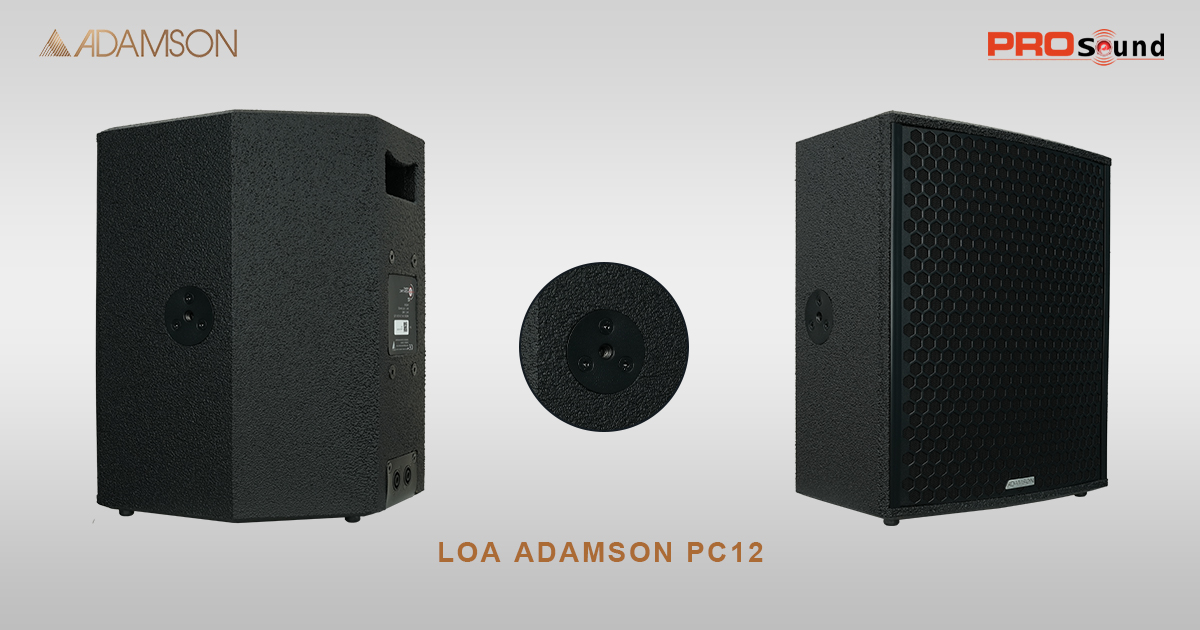 đằng sau loa adamson pc12