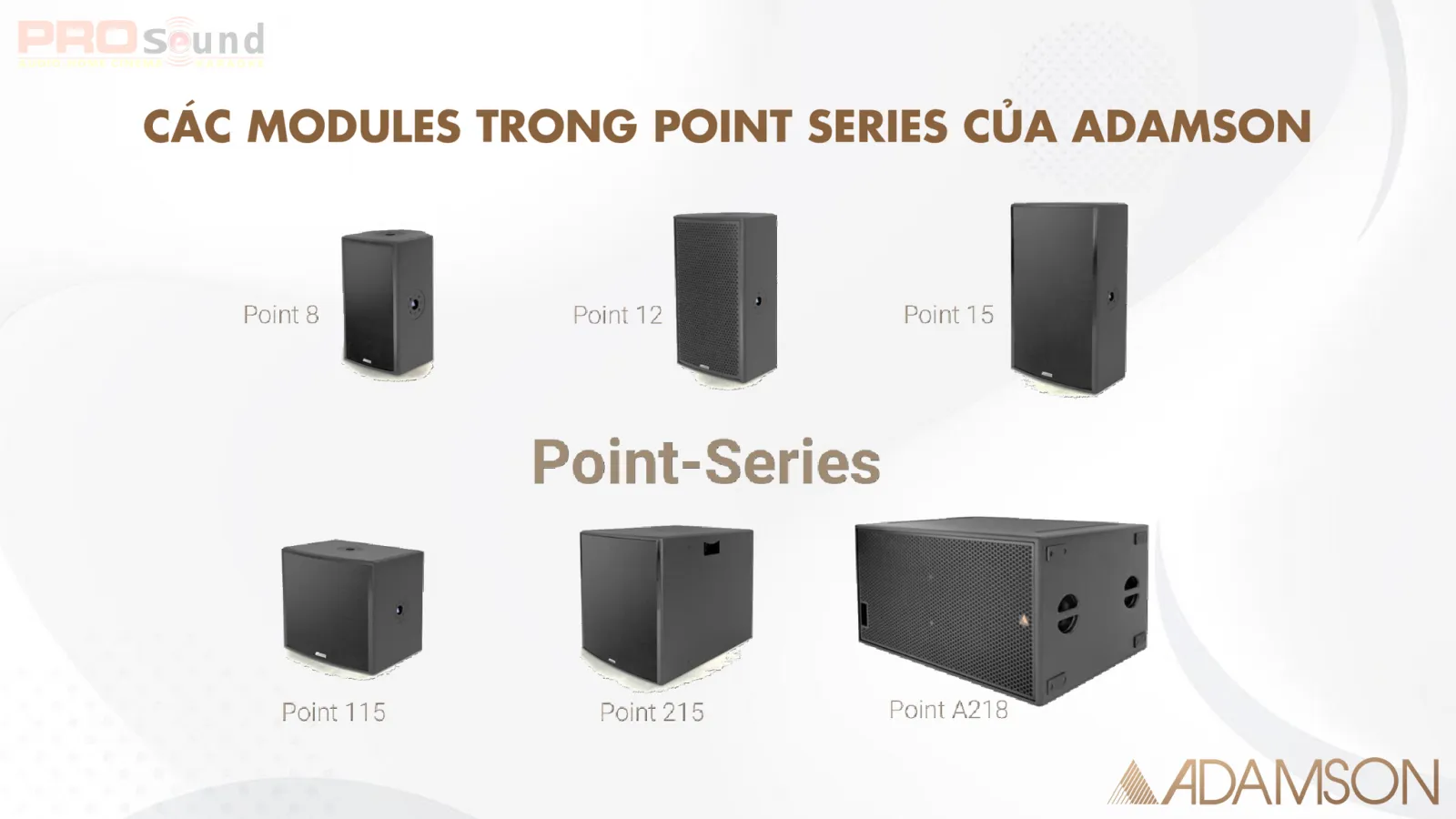 Các modules trong Point series của ADAMSON