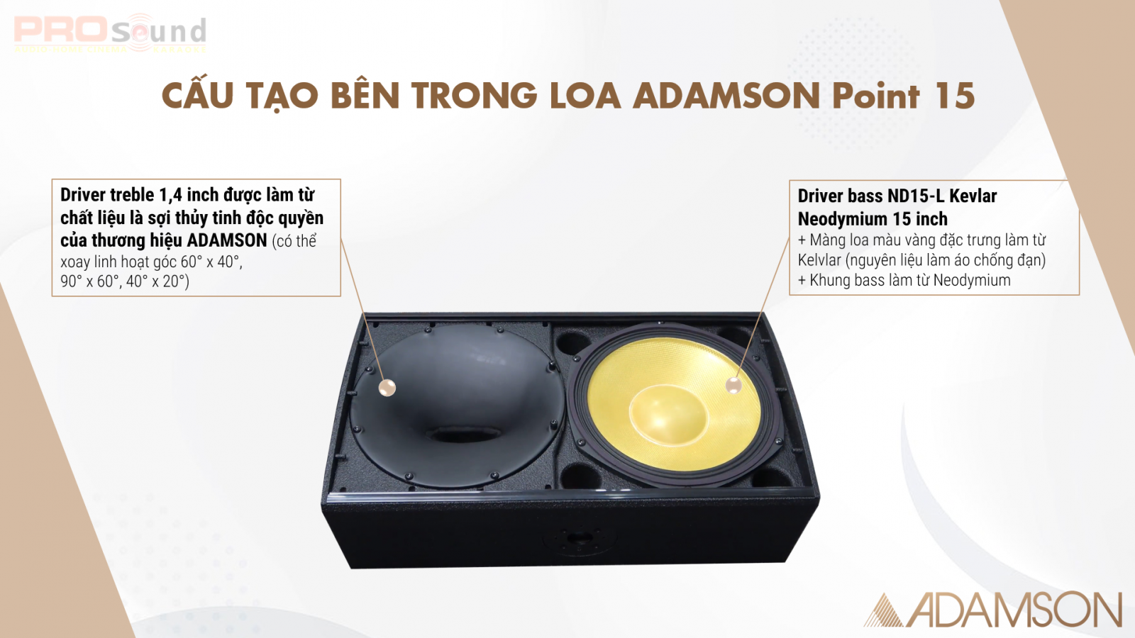 Cấu tạo bên trong ADAMSON Point 15