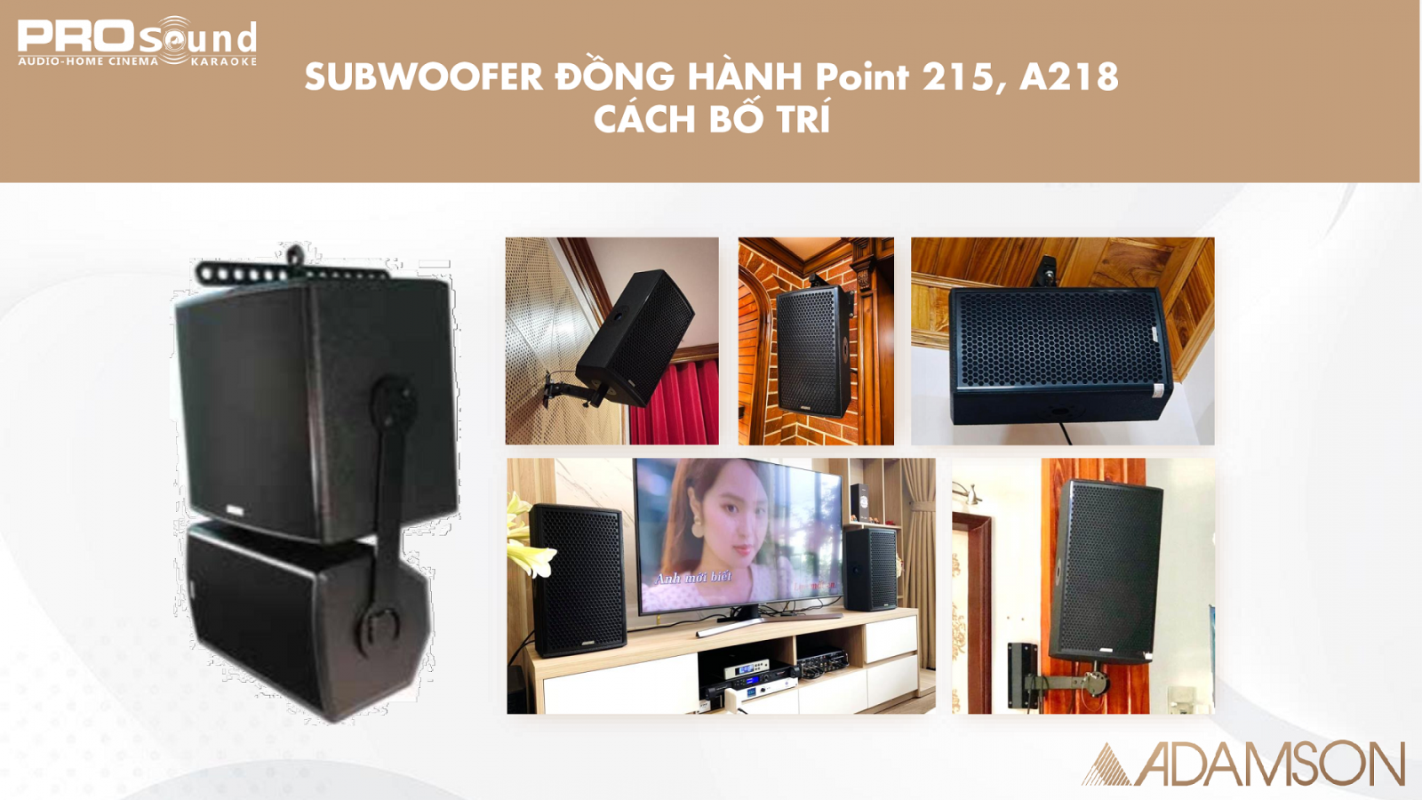 Subwoofer đồng hành và cách bố trí Point 15
