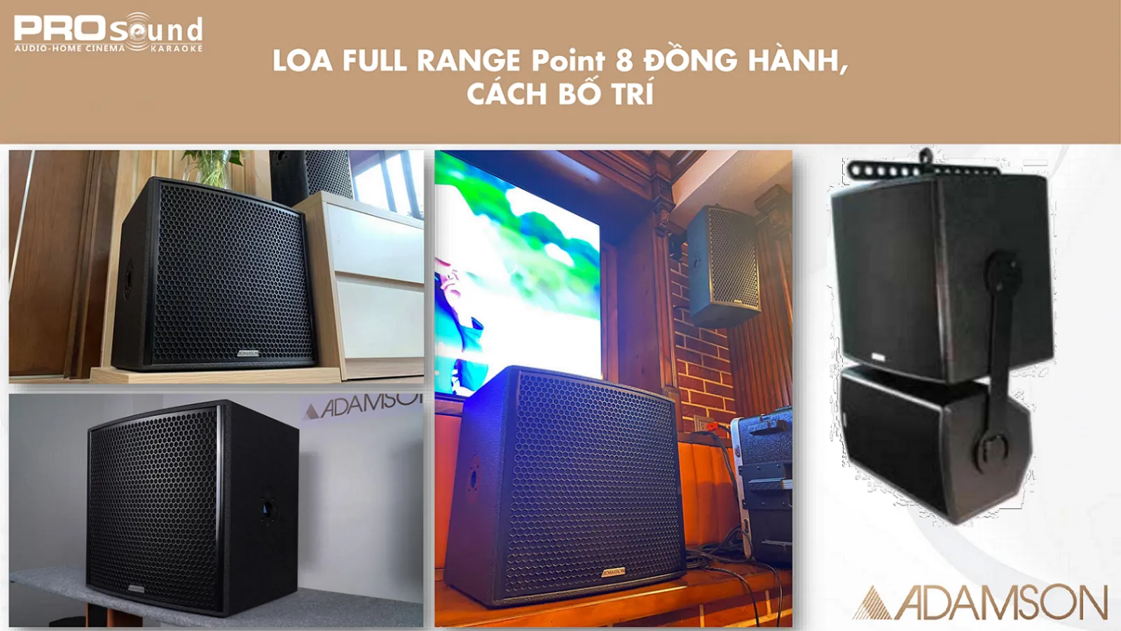 kết hợp loa sub adamson point 115