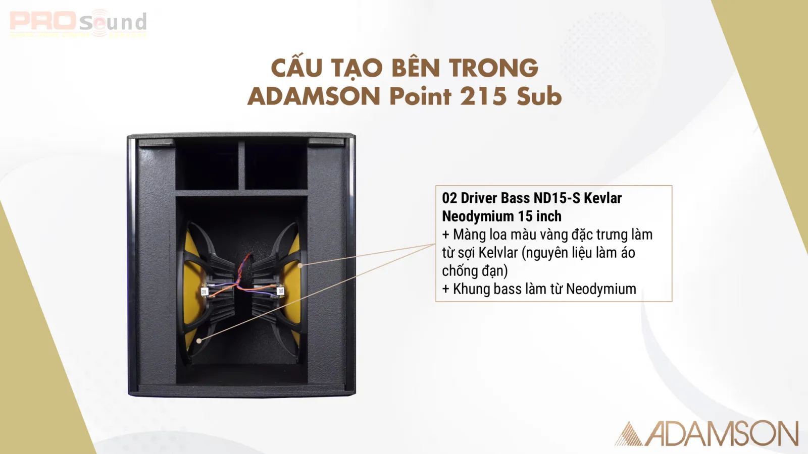 Cấu tạo bên trong của loa ADAMSON Point 215 Sub