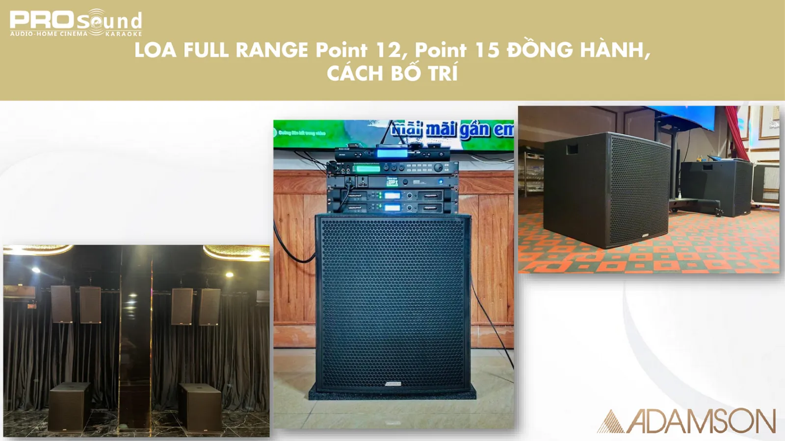 cách bố trí loa ADAMSON Point 215 Sub