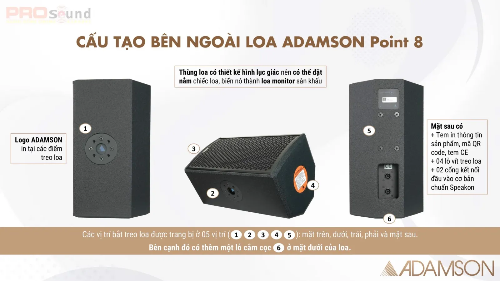 Cấu tạo bên ngoài của ADAMSON Point 8 (2)