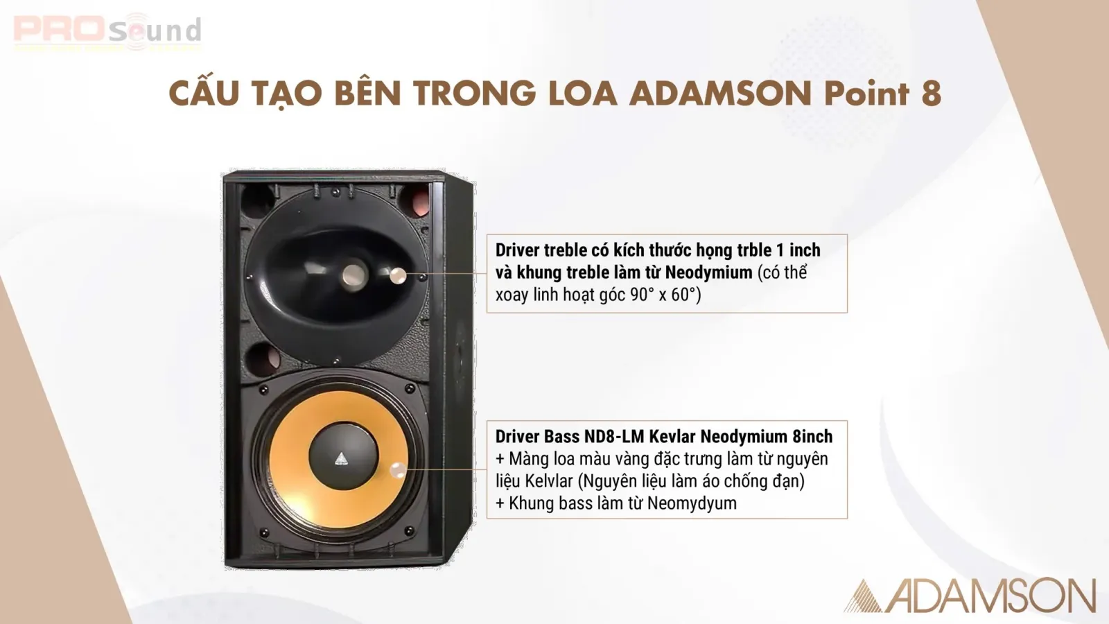 Cấu tạo bên trong của ADAMSON Point 8