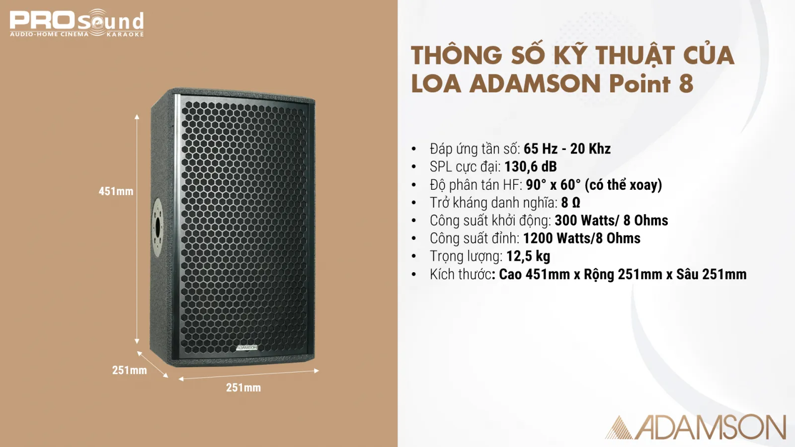 Thông số kỹ thuật của ADAMSON Point 8