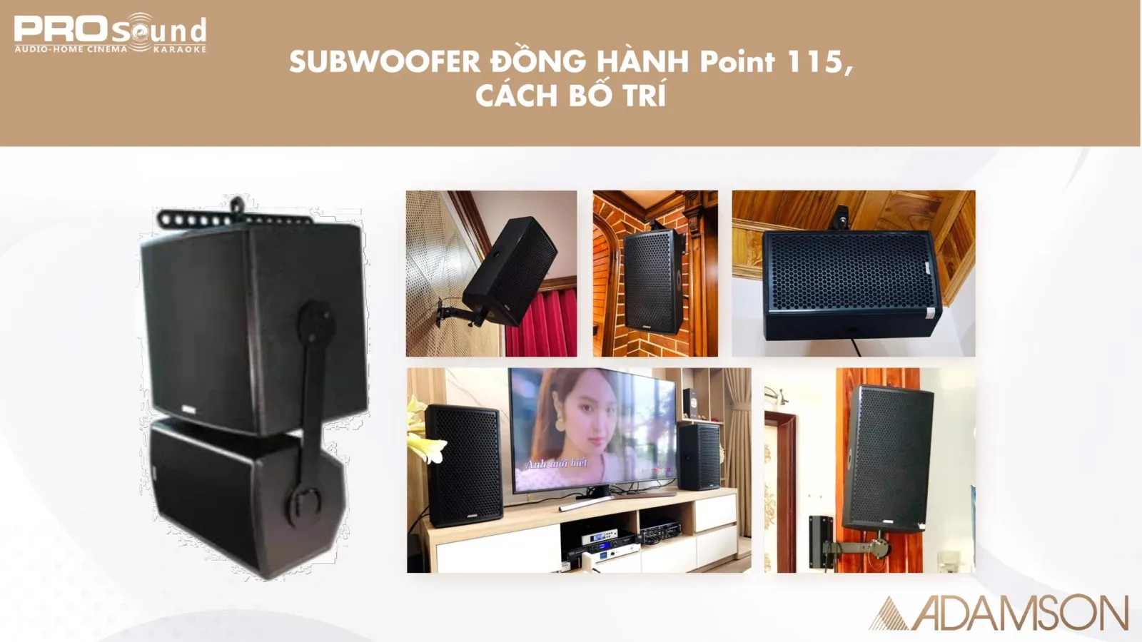 Subwoofer đồng hành với Point 8 và các bố trí